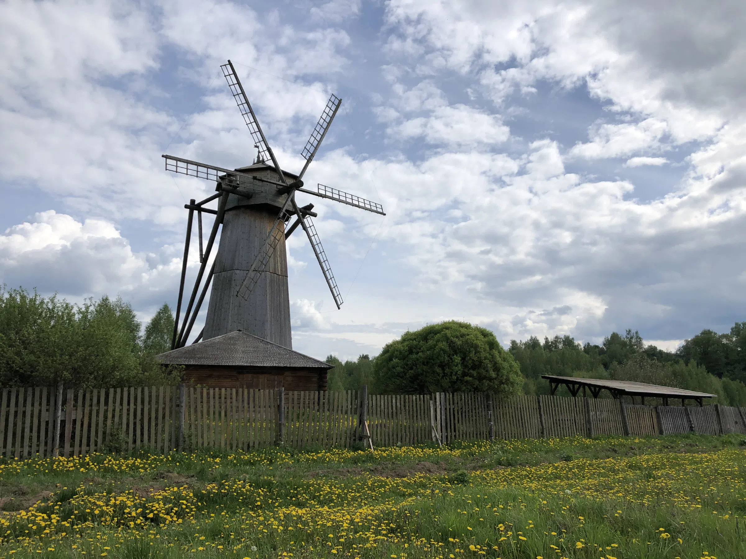 Деревенская изба в лесу, фото 14
