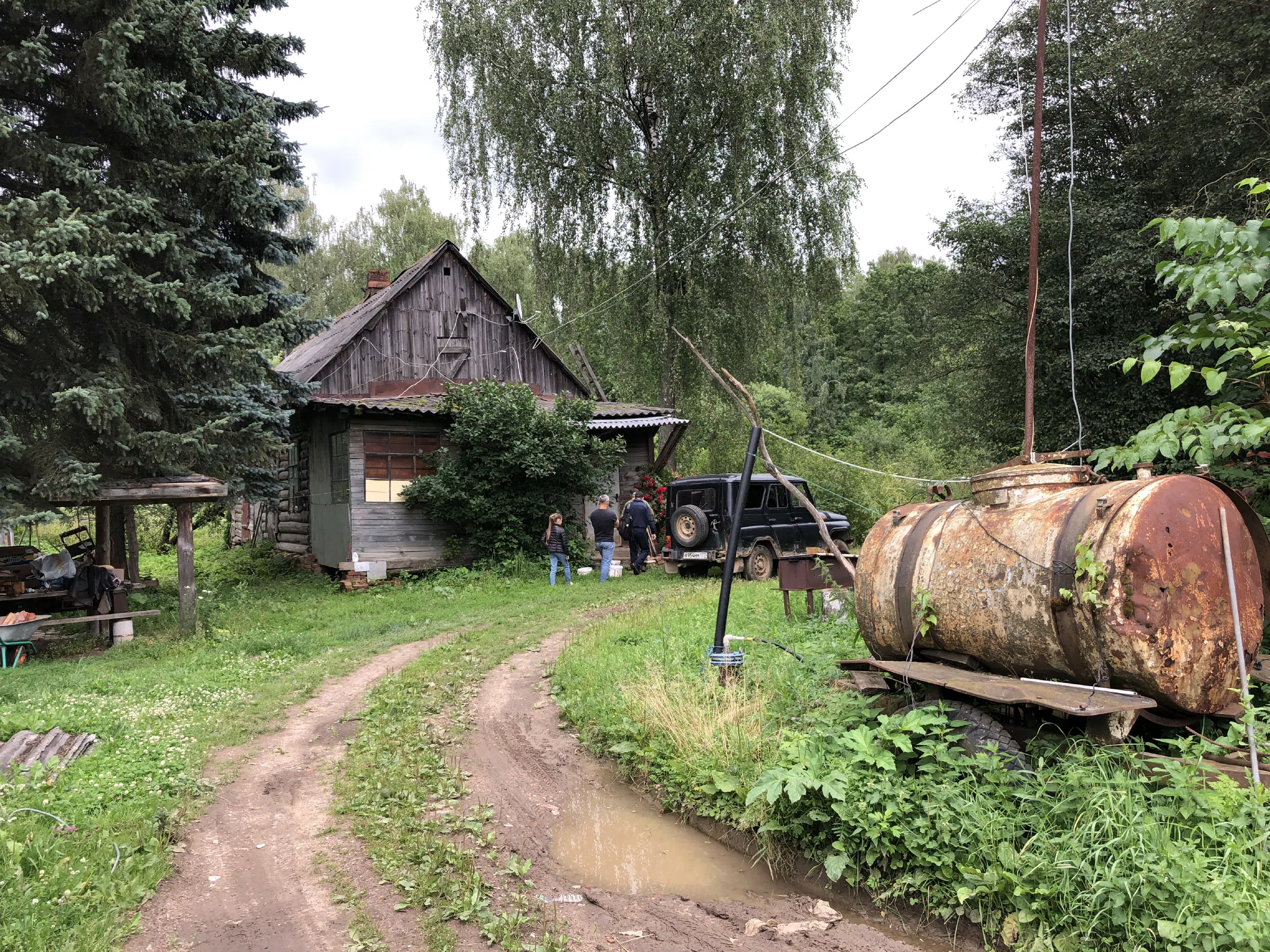 Лесная дорога с ямами, фото 20