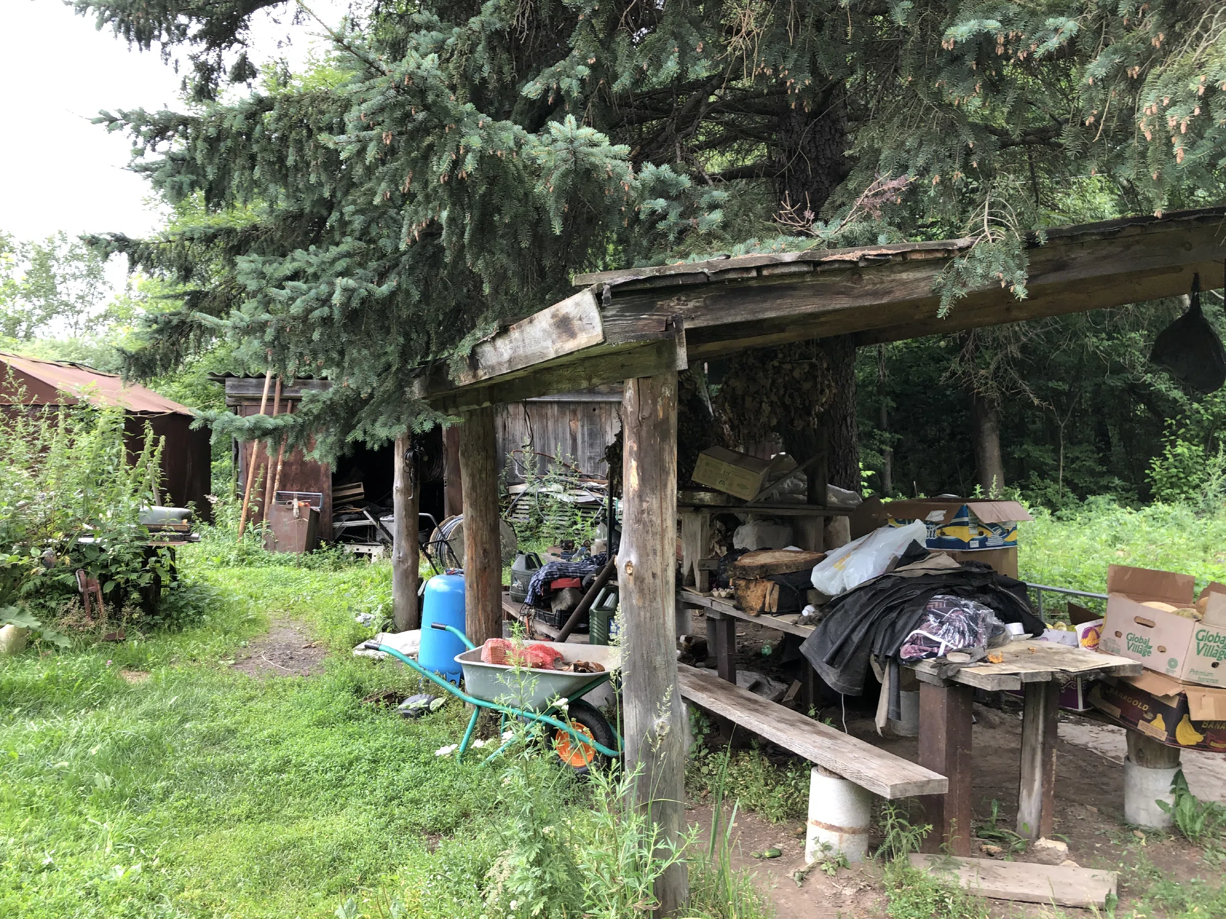 Лесная дорога с ямами, фото 23