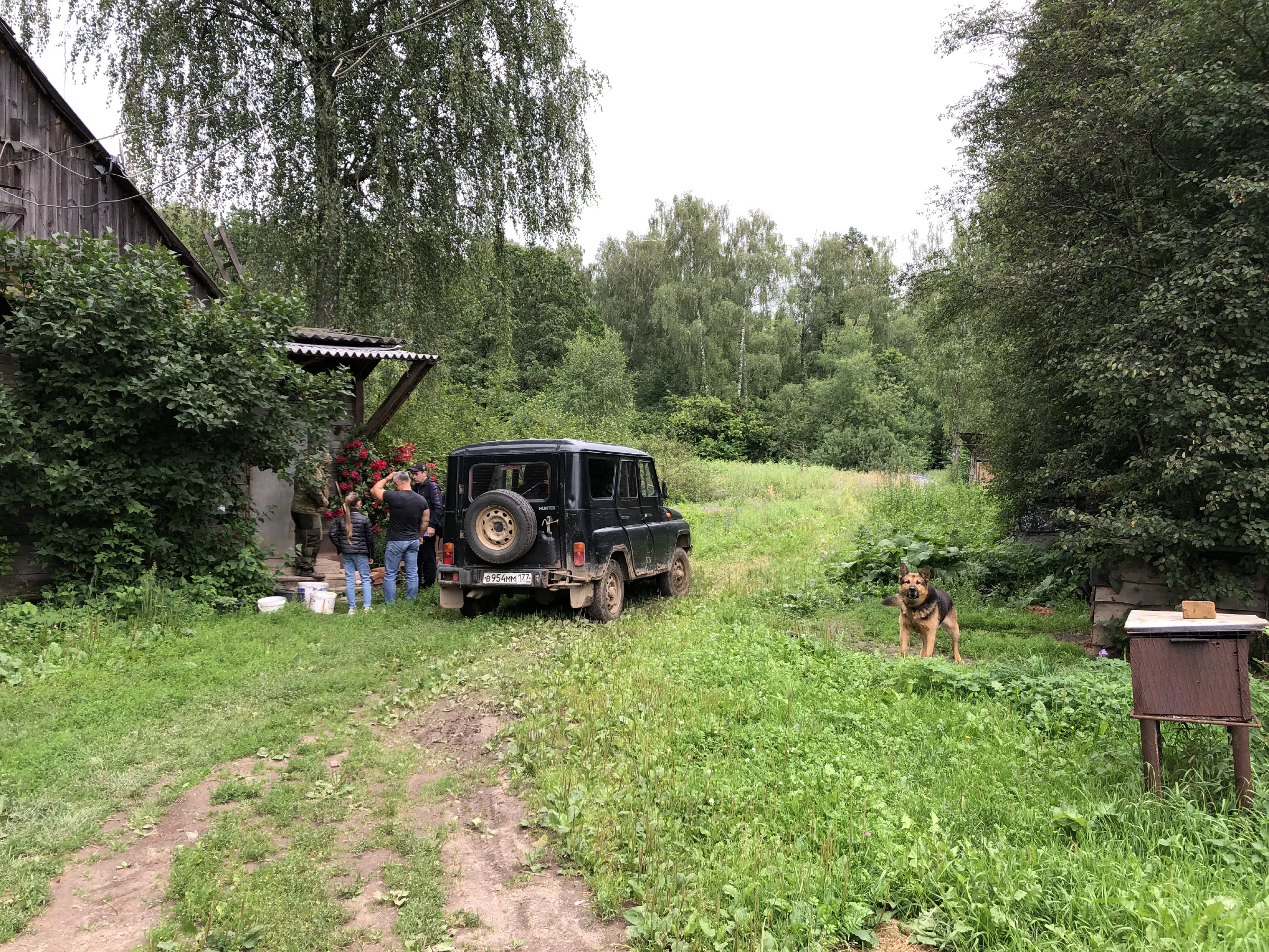 Лесная дорога с ямами, фото 21