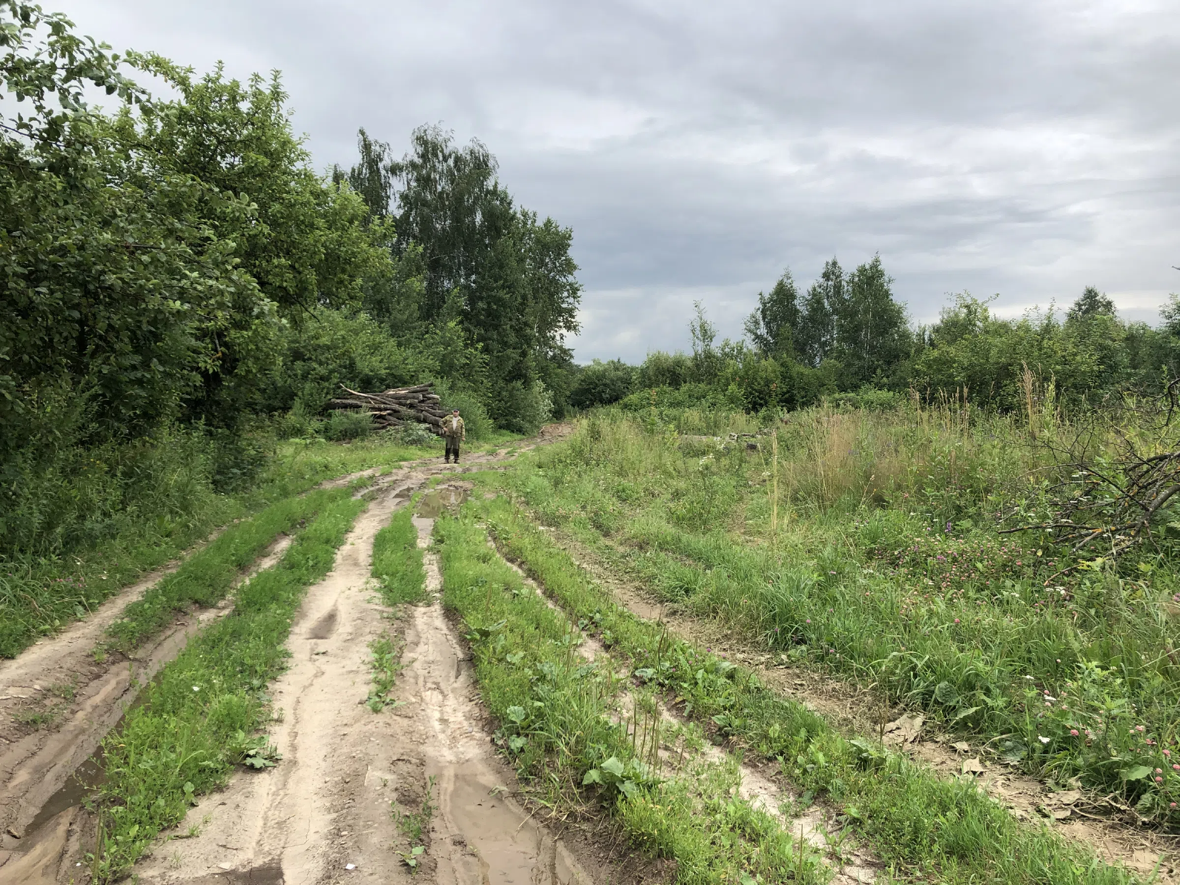 Лесная дорога с ямами, фото 4