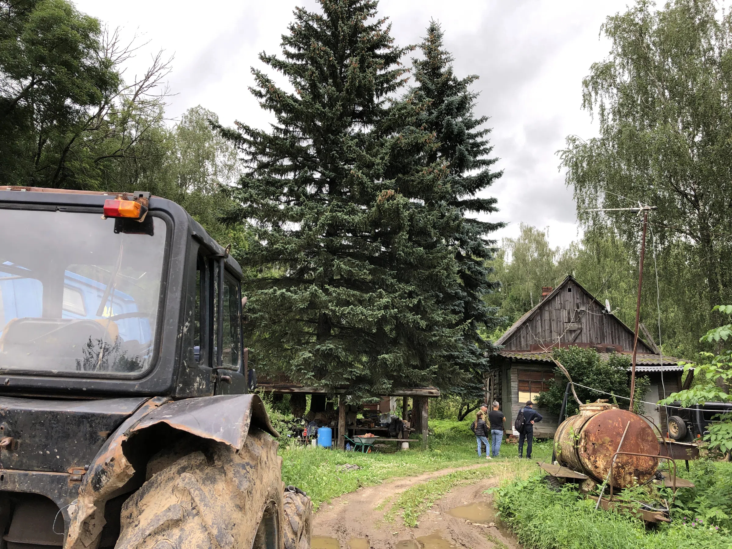 Лесная дорога с ямами, фото 17