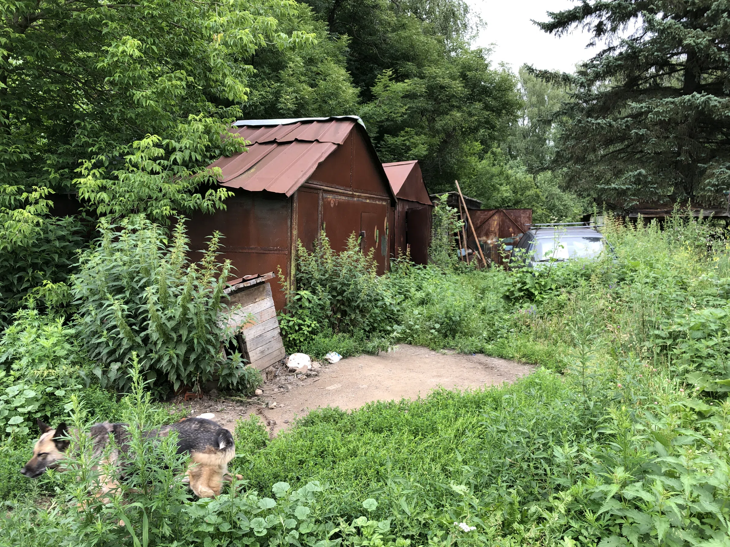 Лесная дорога с ямами, фото 14