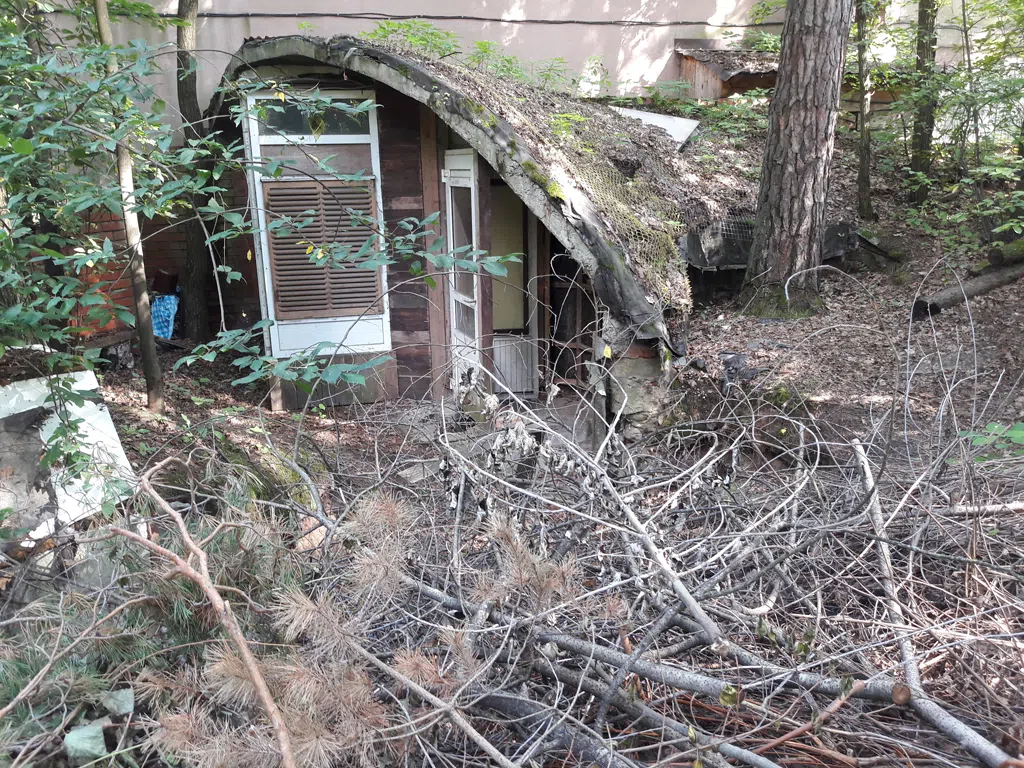 Дача на странных колесах, фото 20