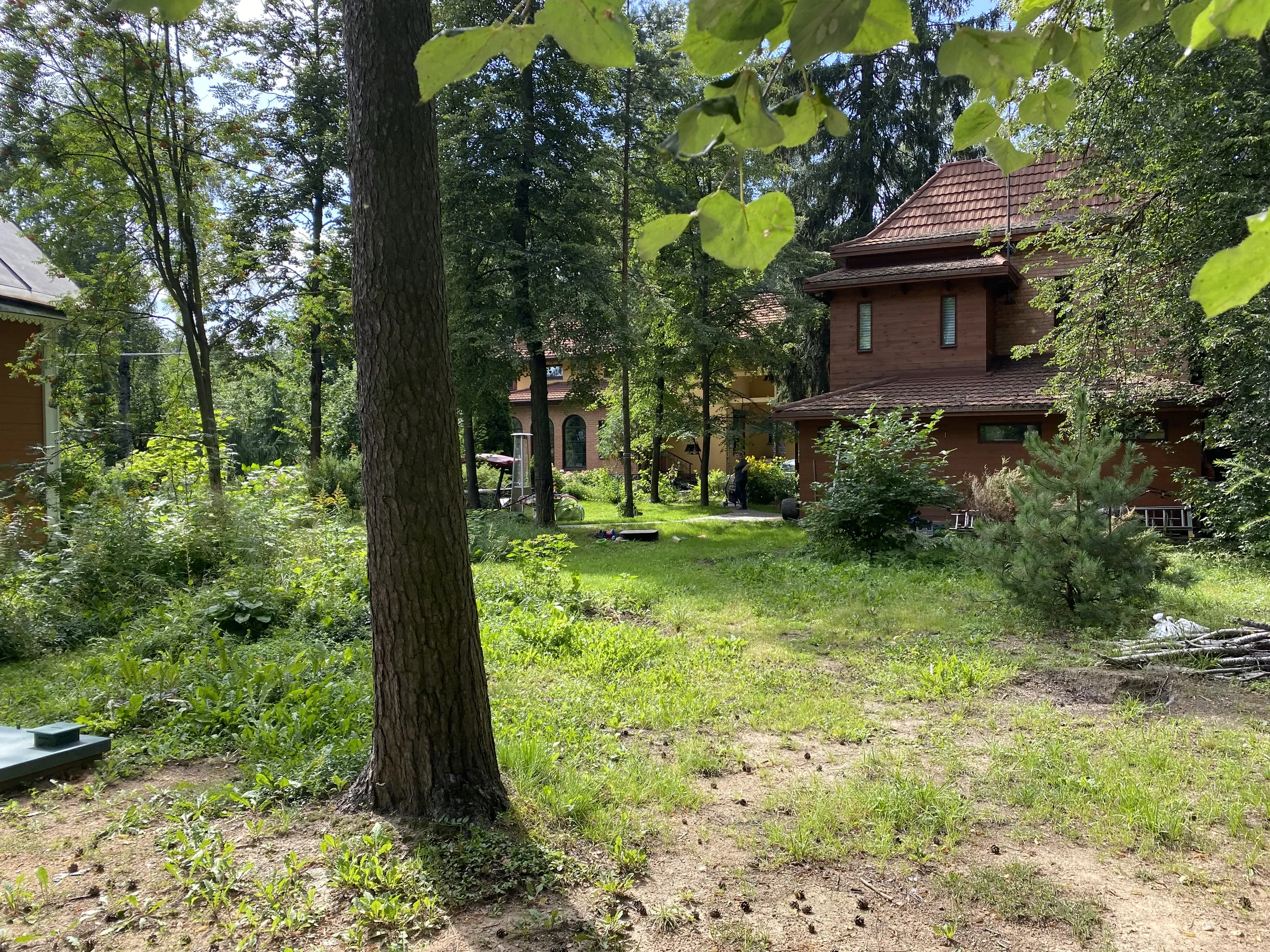 Дача с верандой в лесу, фото 3
