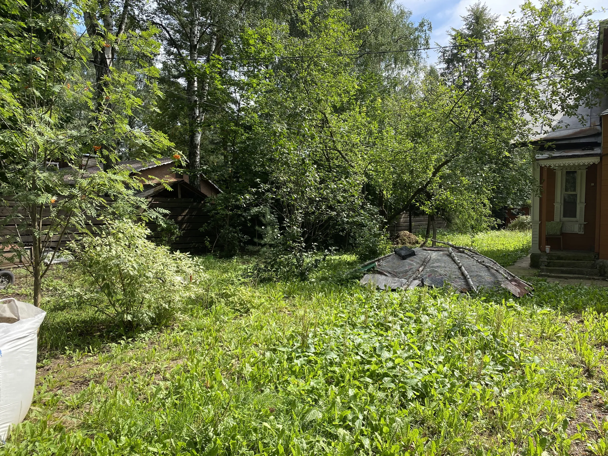 Дача с верандой в лесу, фото 1
