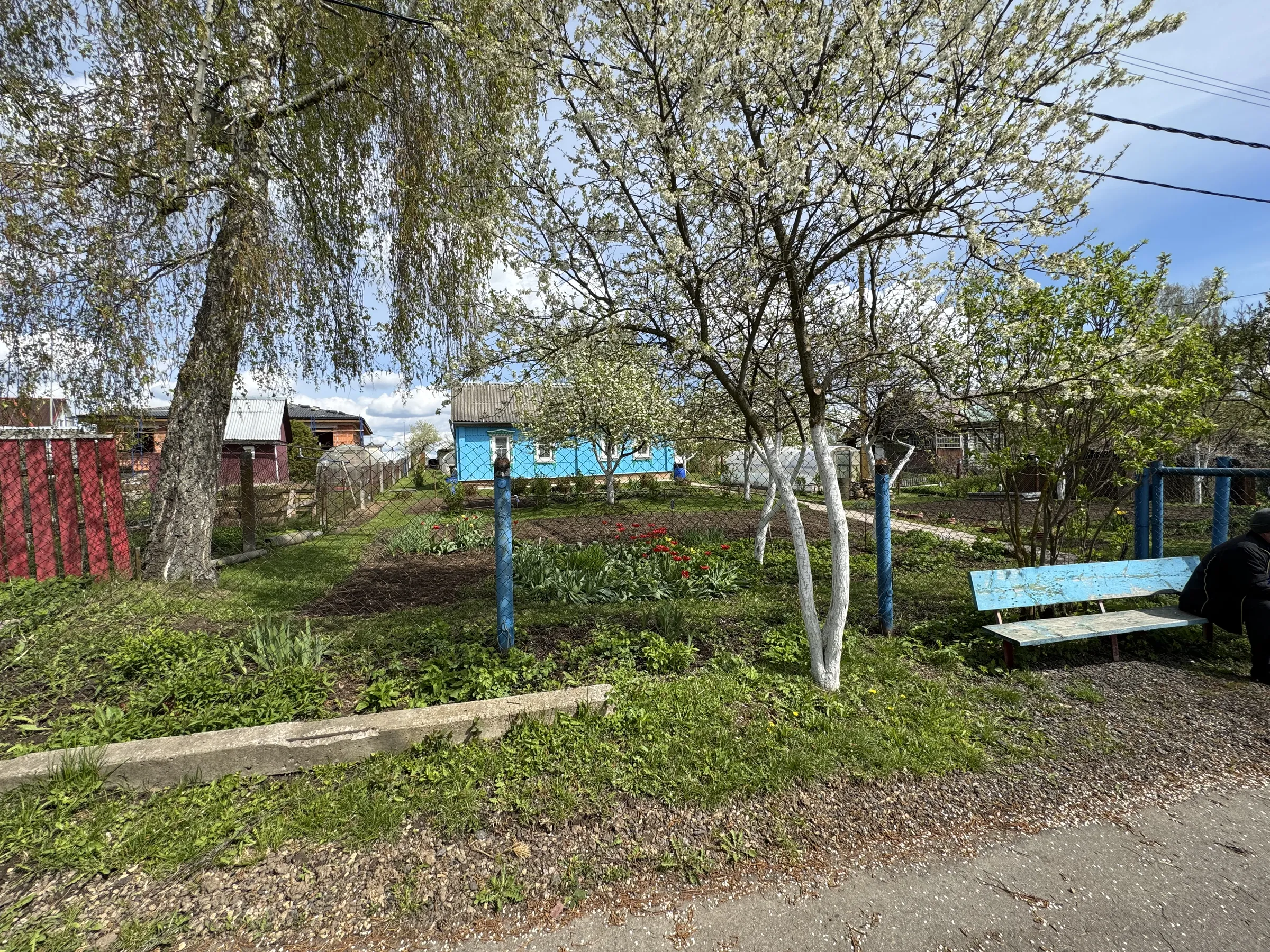 Дача с голубым домиком, фото 17