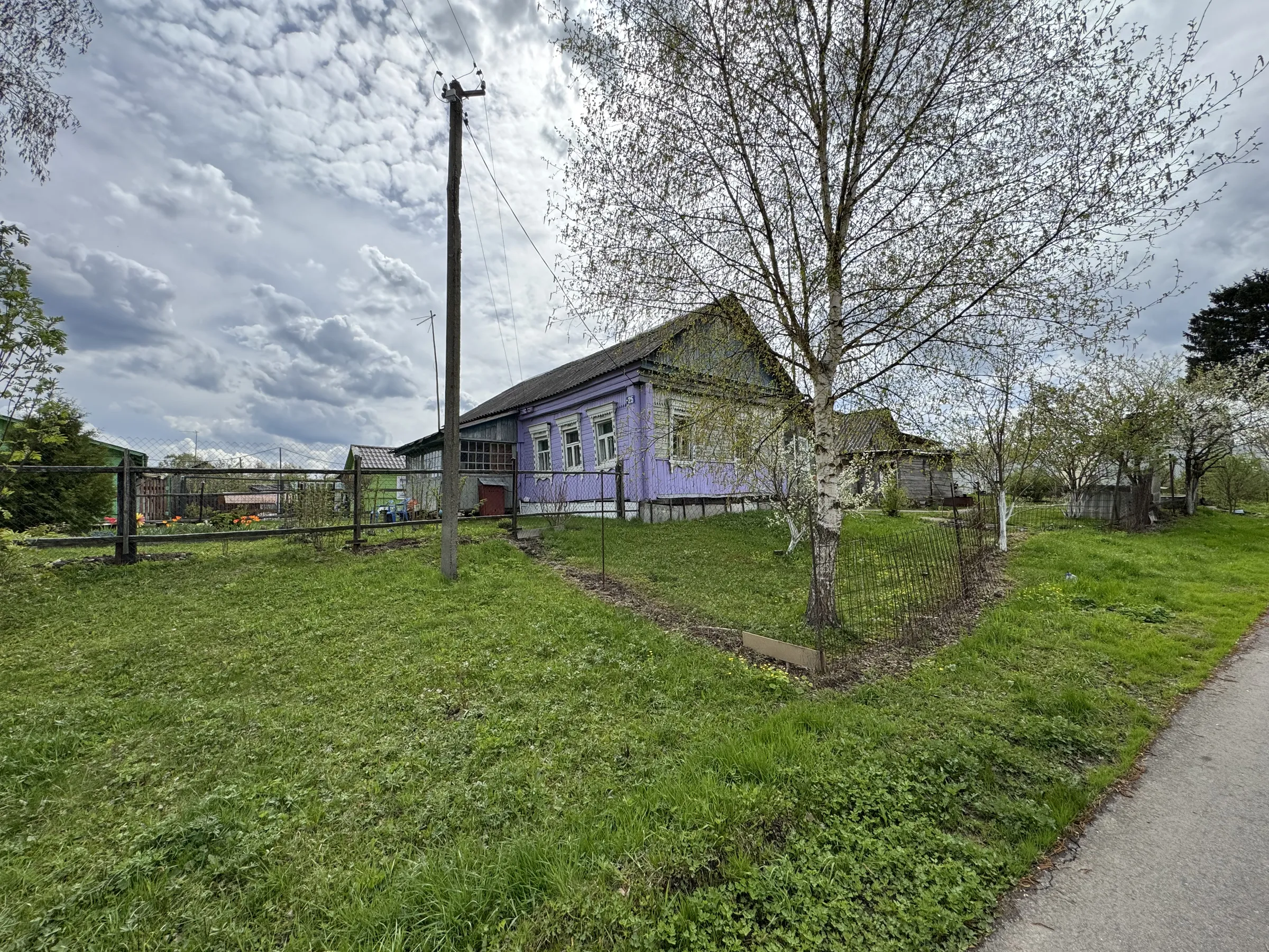 Весенняя фиолетовая дача, фото 1
