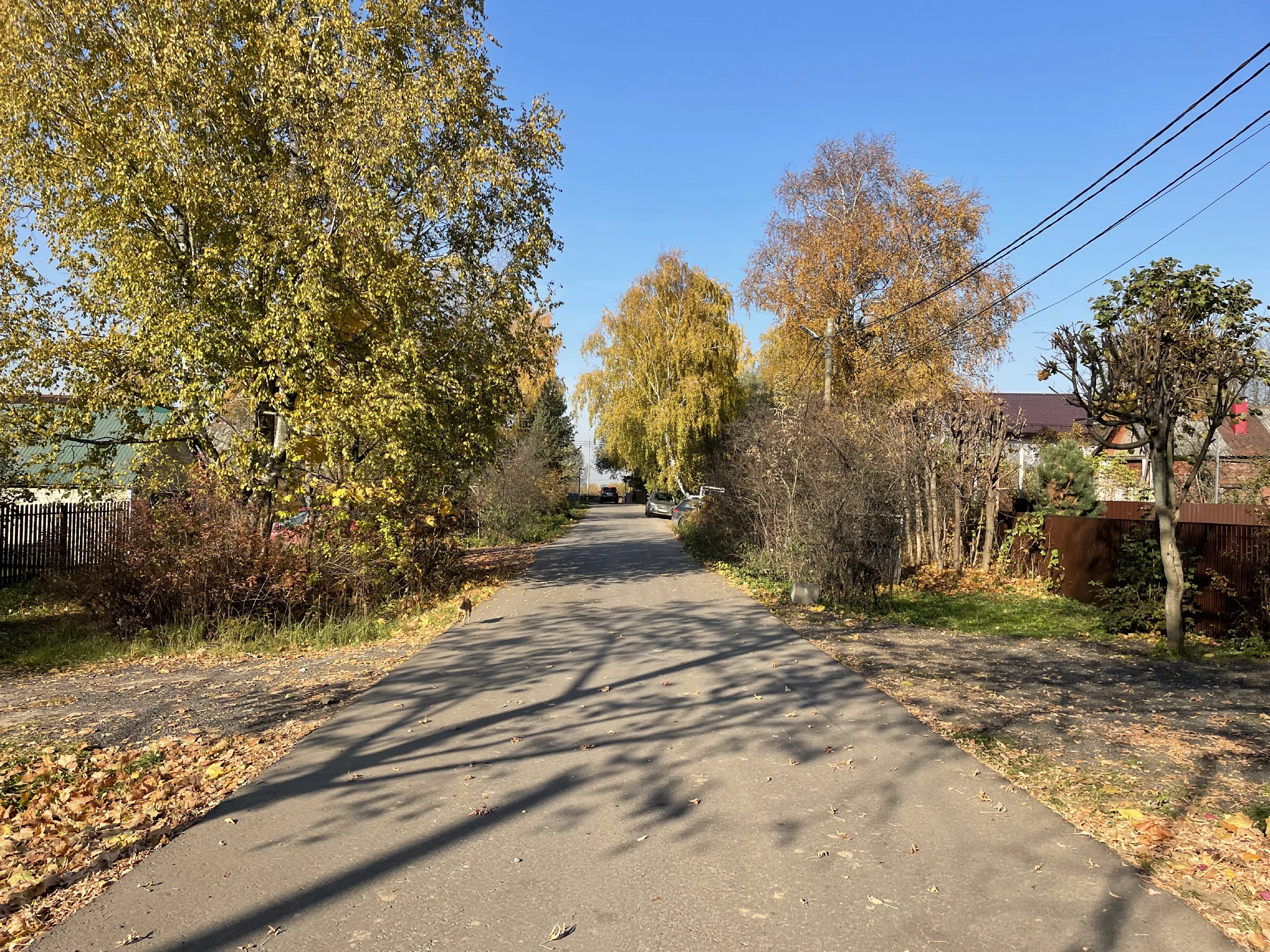Дорога вдоль озера, фото 4