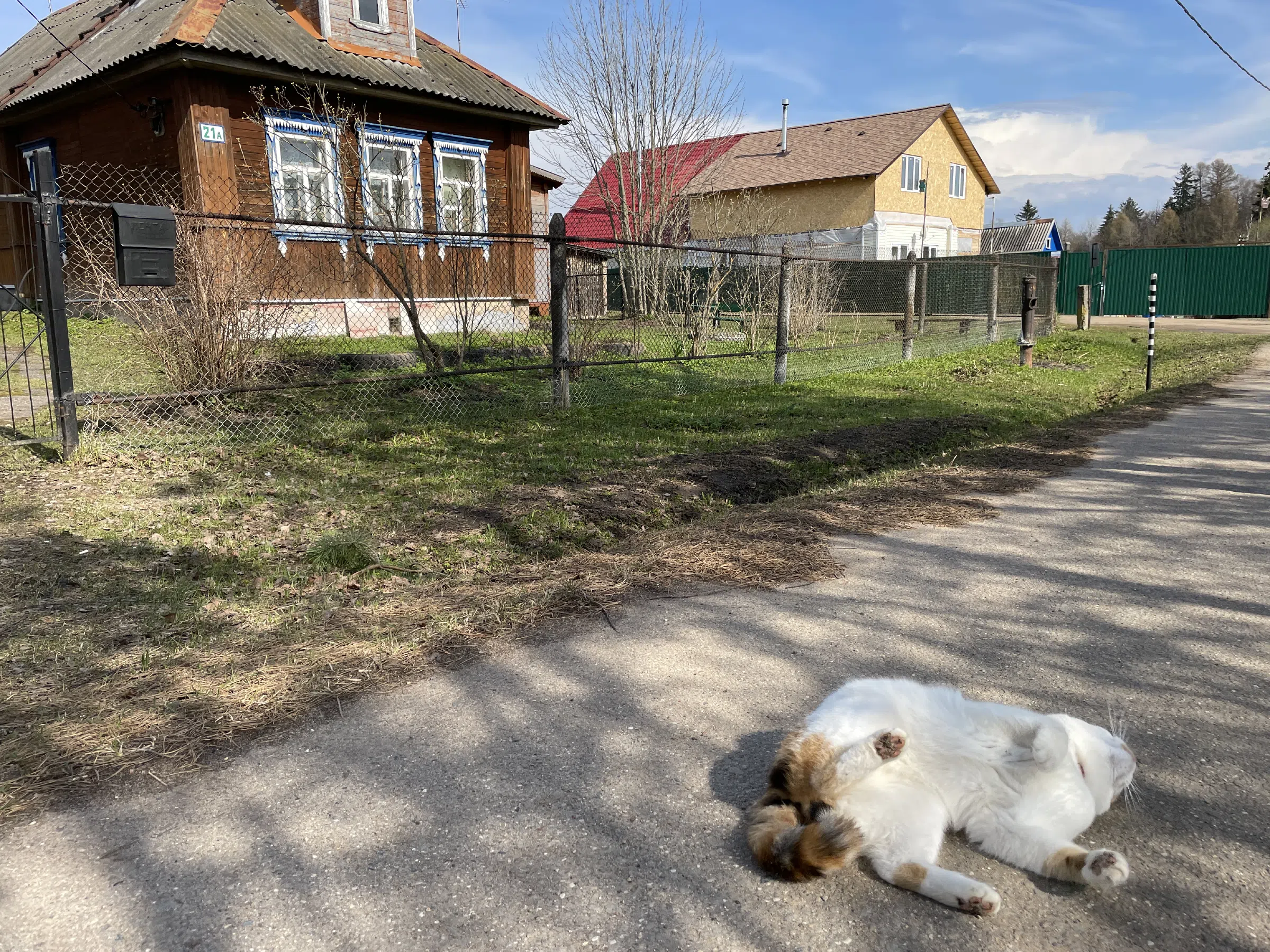 Деревня у озера, фото 23