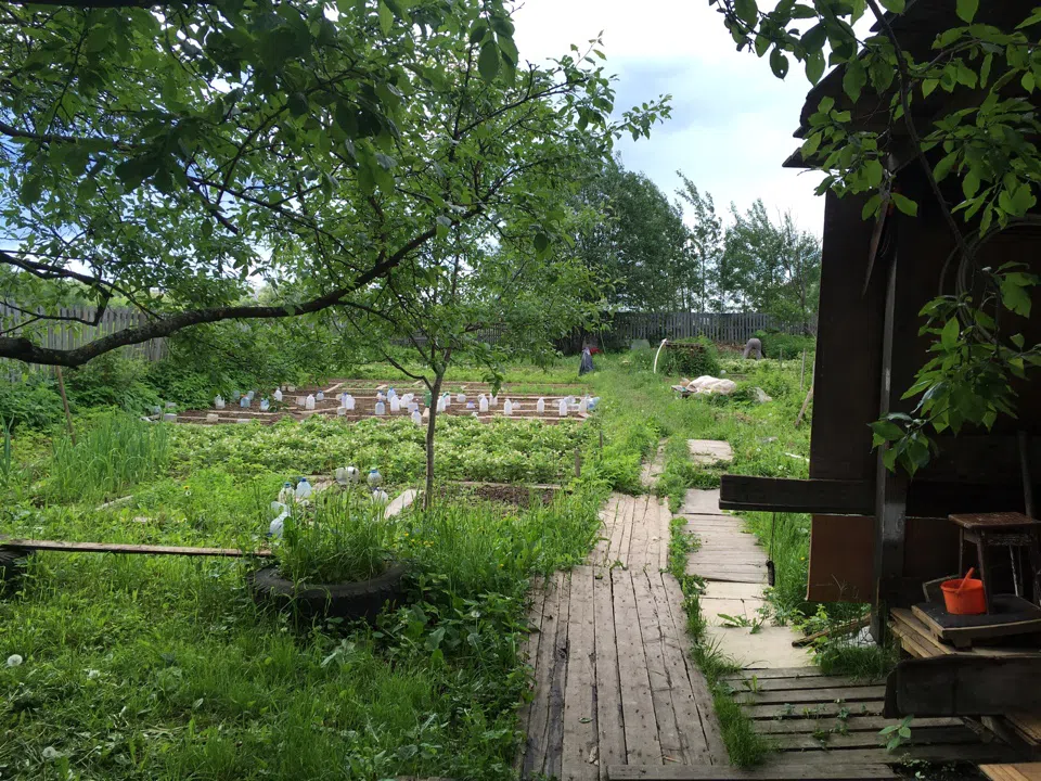 Дача с красным фасадом, фото 8