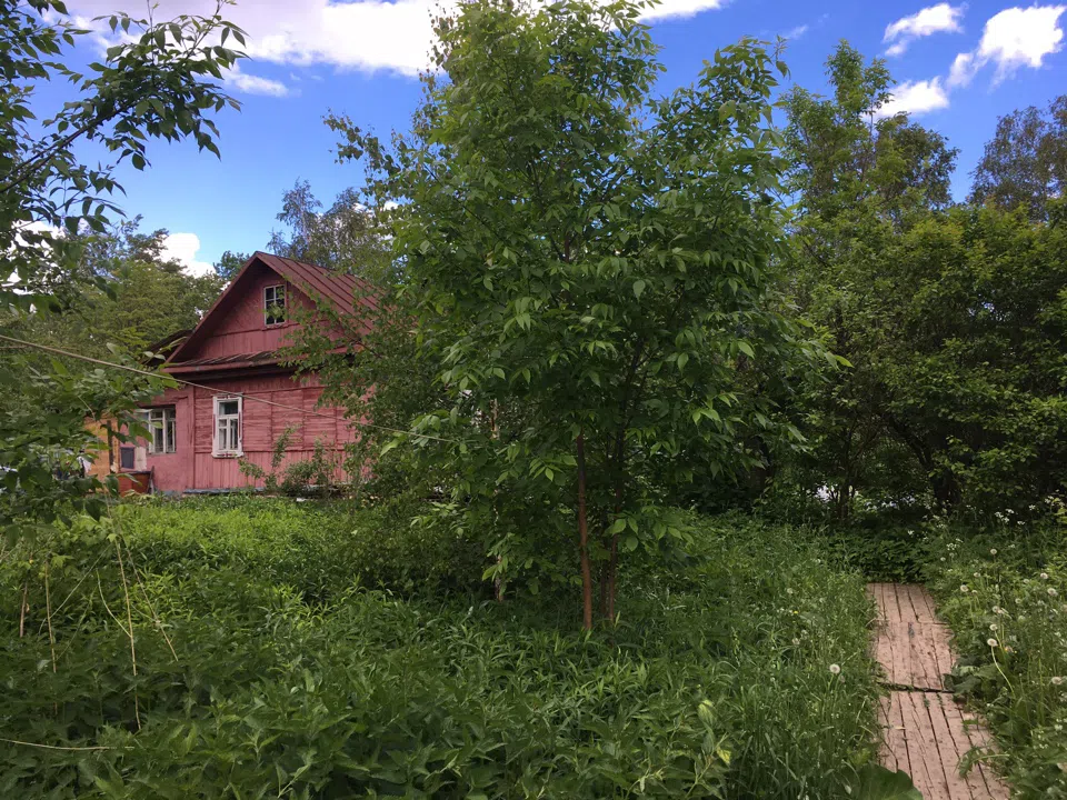 Дача с красным фасадом, фото 6