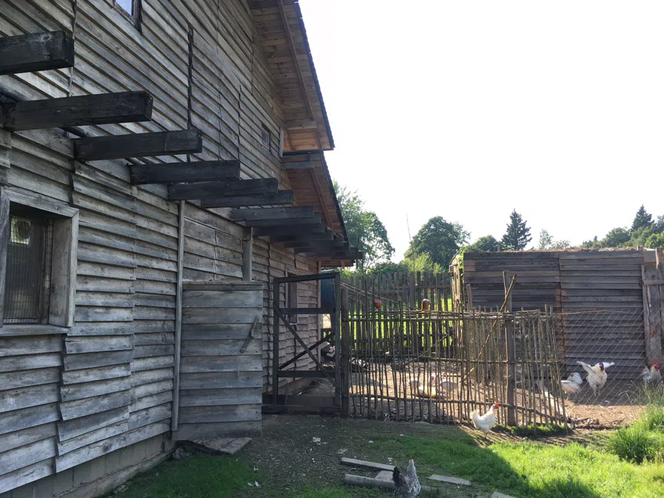 Деревенский хутор, фото 14