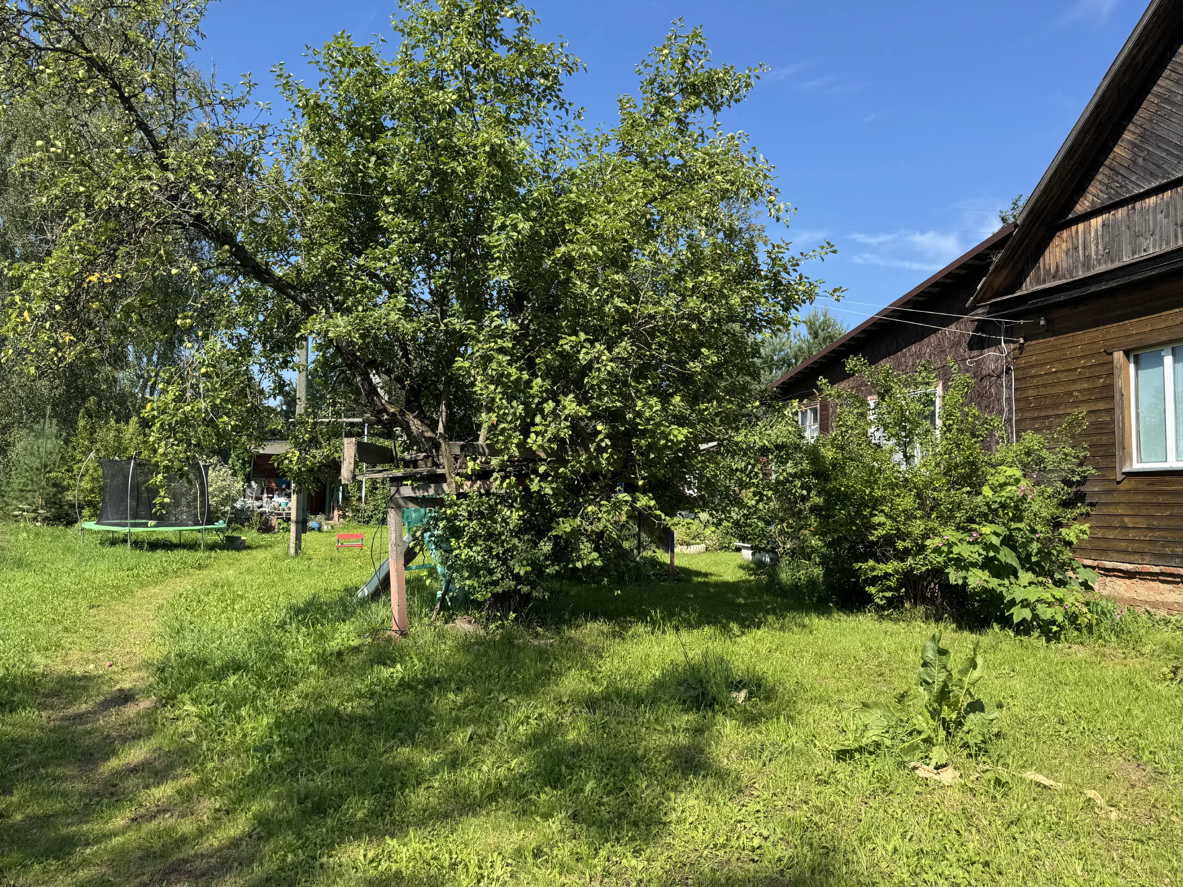 Дача у колодца, фото 16