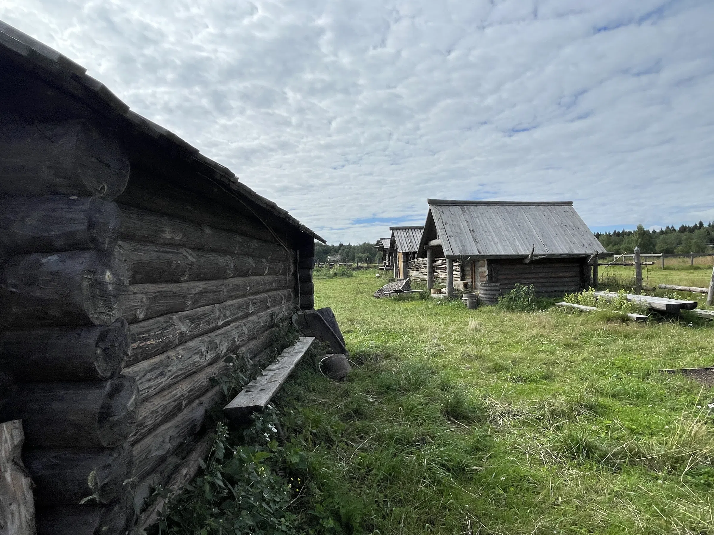 Сказочная ферма с драконом, фото 21