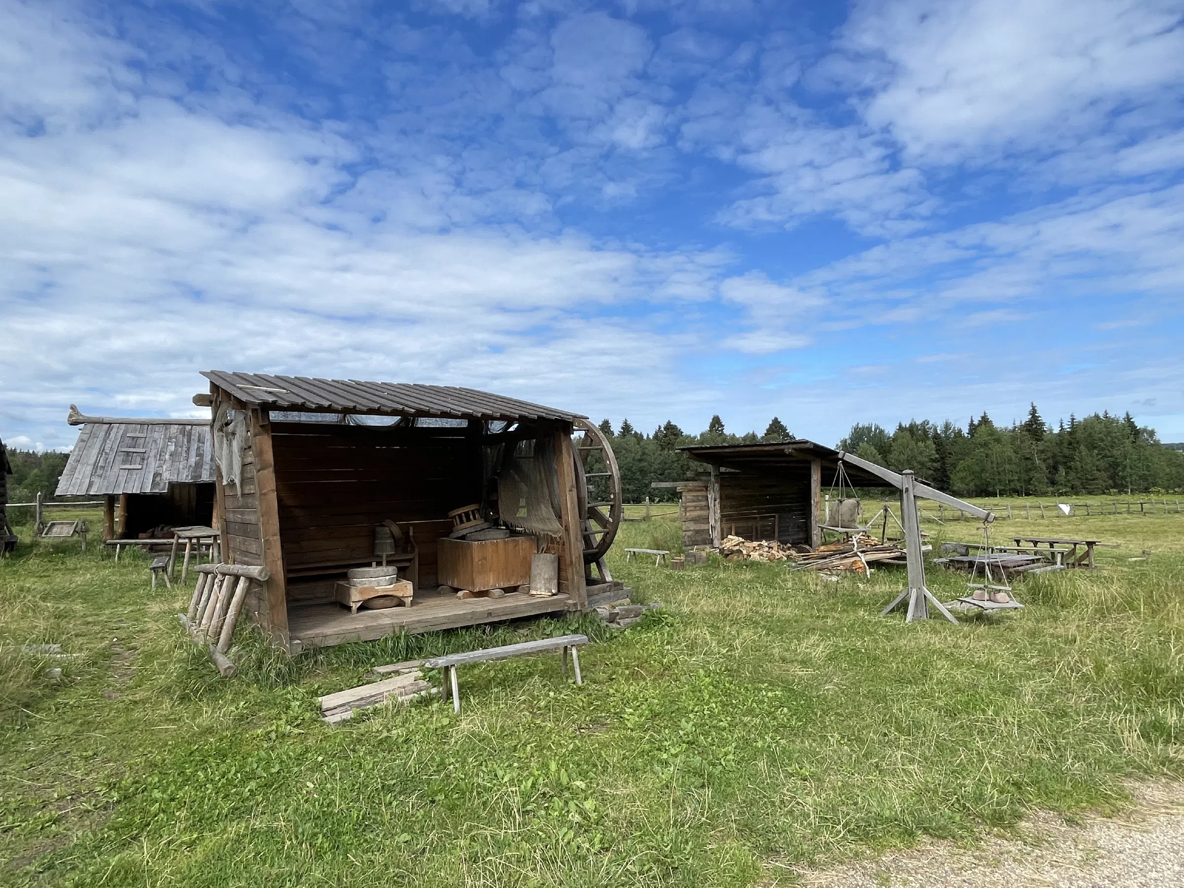 Сказочная ферма с драконом, фото 15