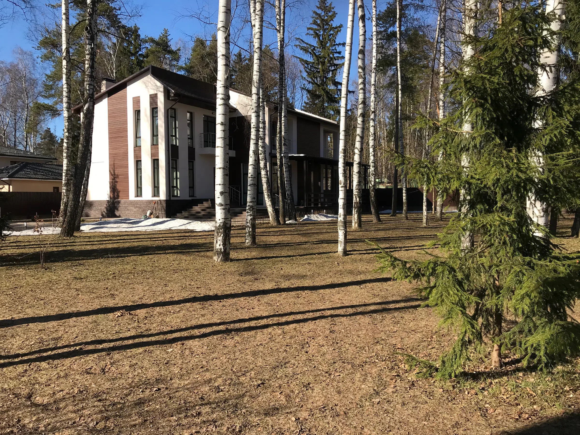 Современный дом среди берёз, фото 4