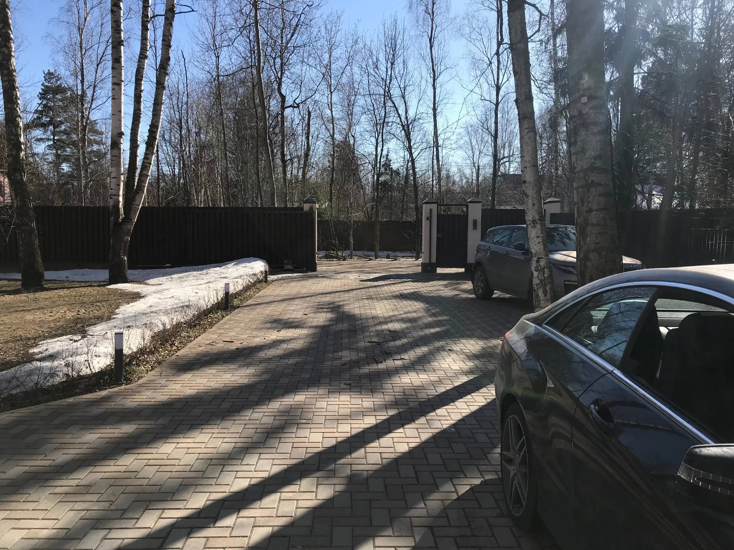 Современный дом среди берёз, фото 1