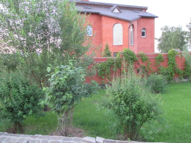 Дача Кирпич в лесу, фото 2