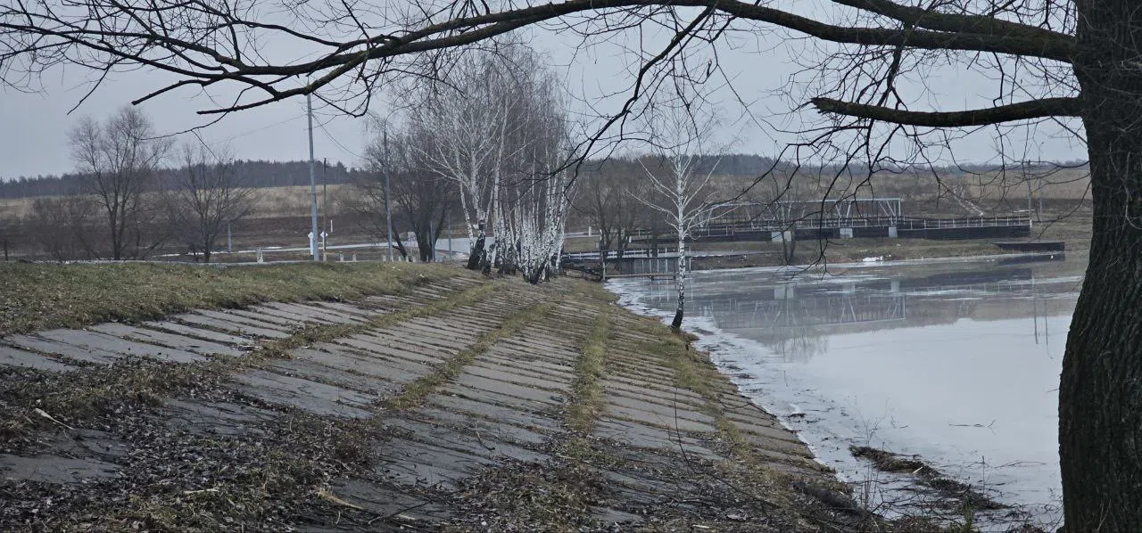 Загородное шоссе у пруда, фото 14