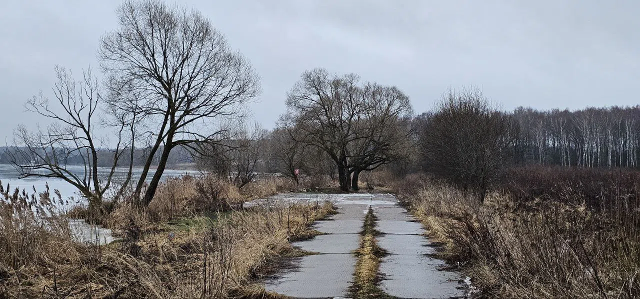 Загородное шоссе у пруда, фото 17