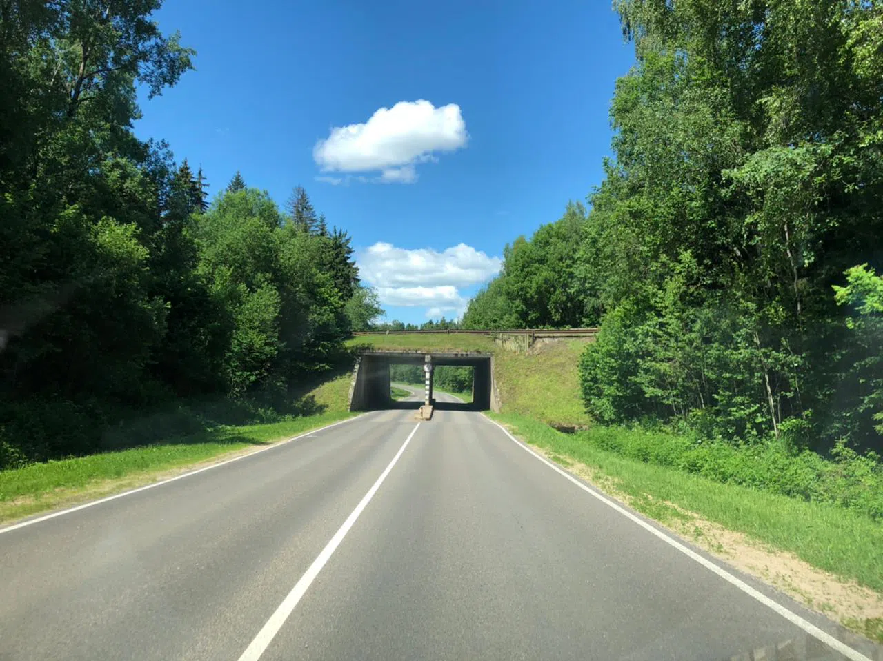 Дороги в лесу, фото 8