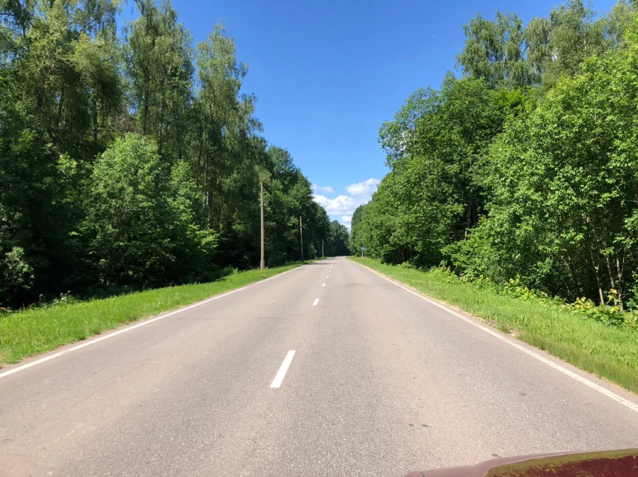 Дороги в лесу, фото 1