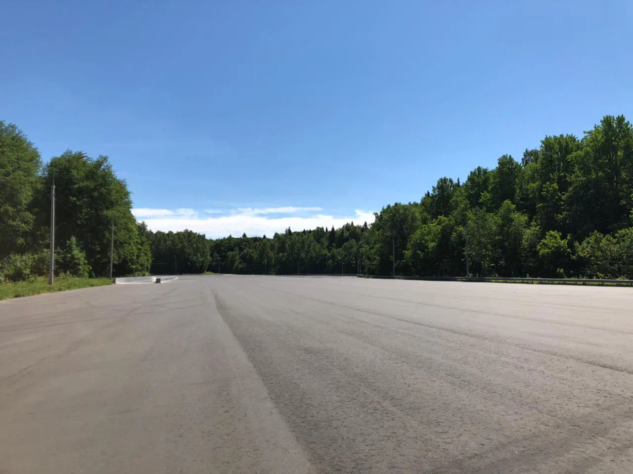 Дороги в лесу, фото 3