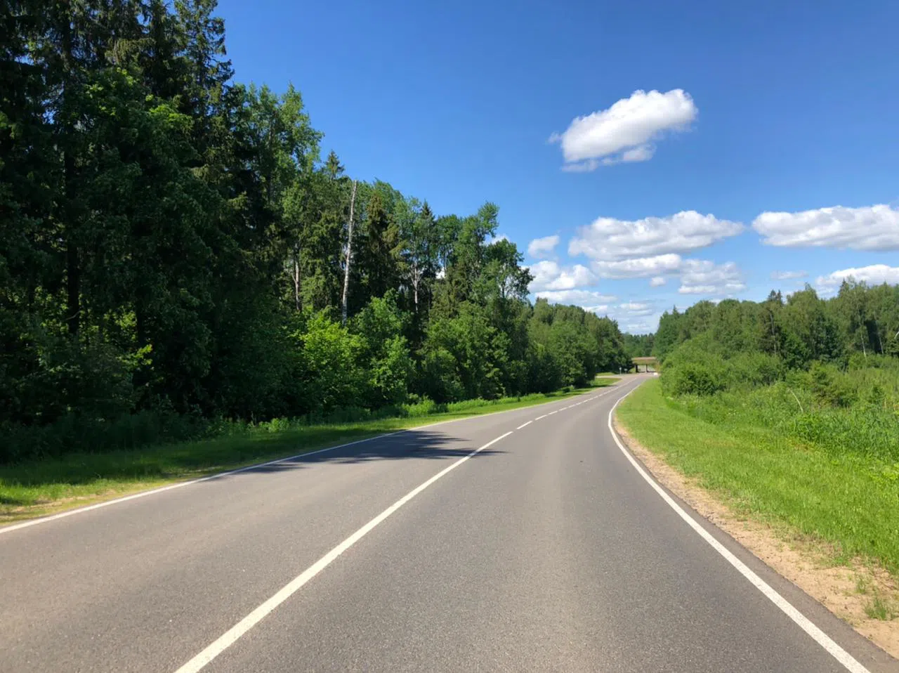 Дороги в лесу, фото 13