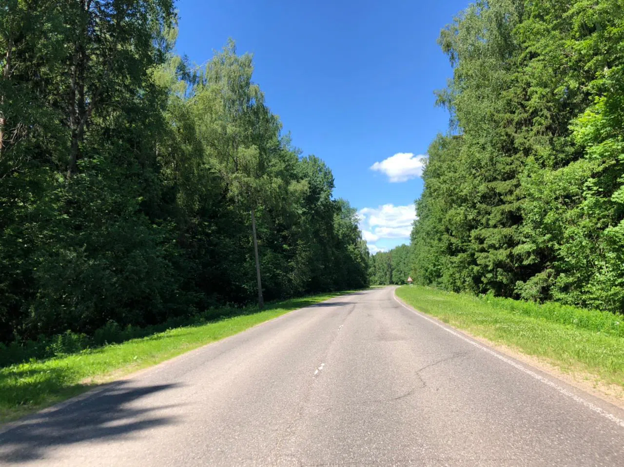 Дороги в лесу, фото 18