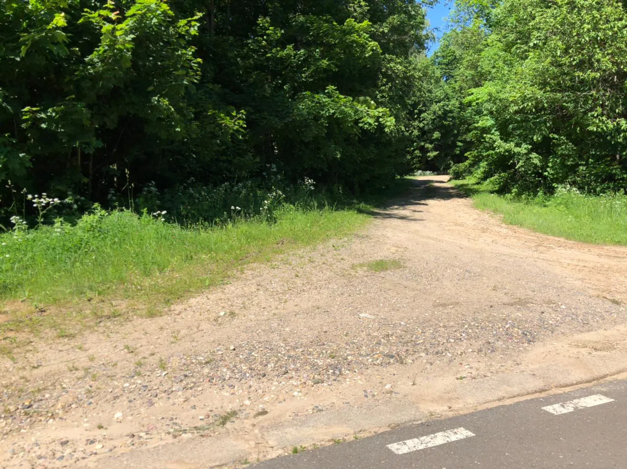 Дороги в лесу, фото 22