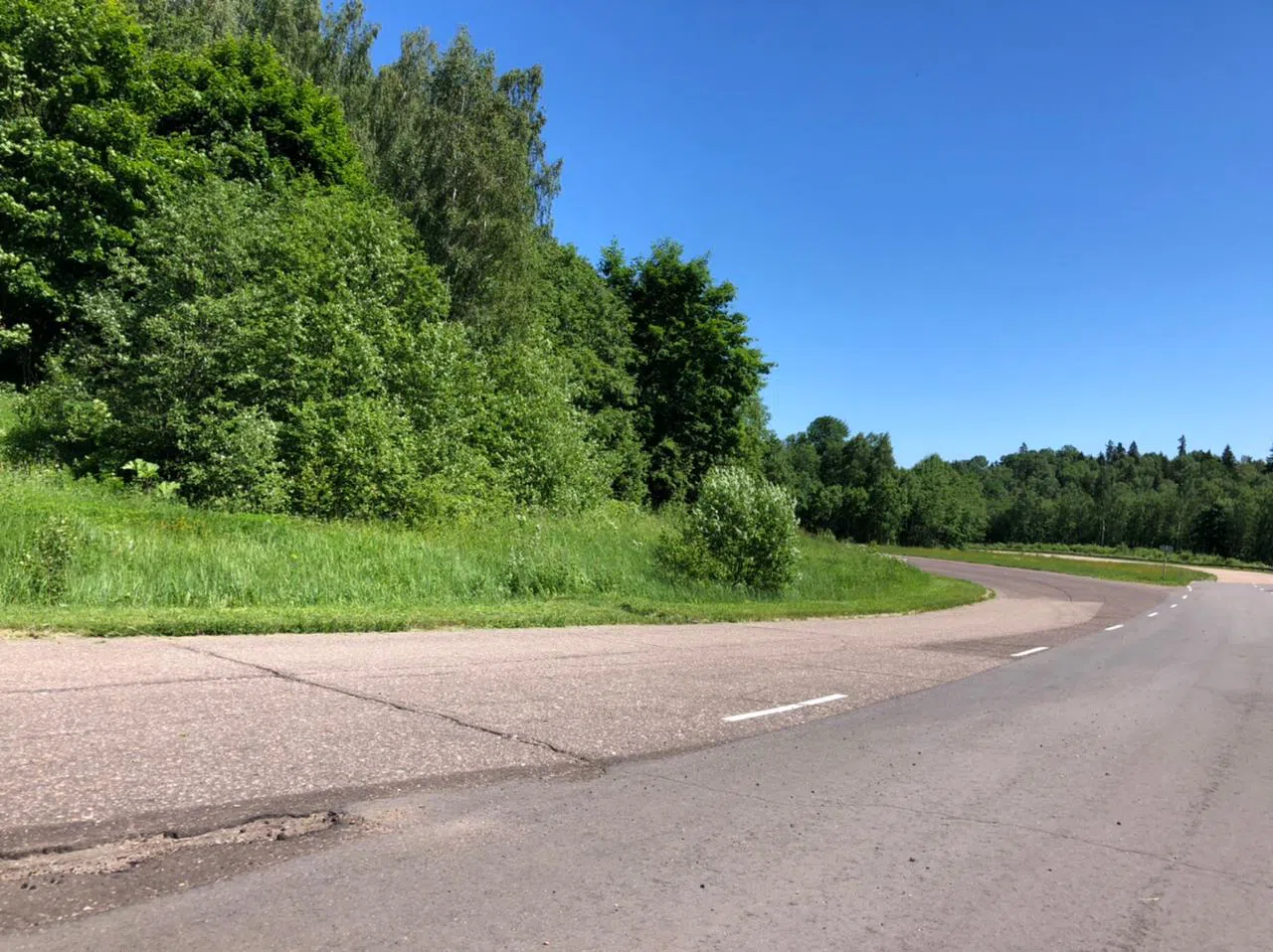 Дороги в лесу, фото 17
