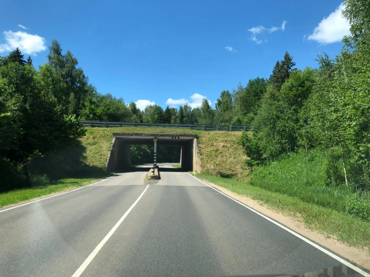 Дороги в лесу, фото 16