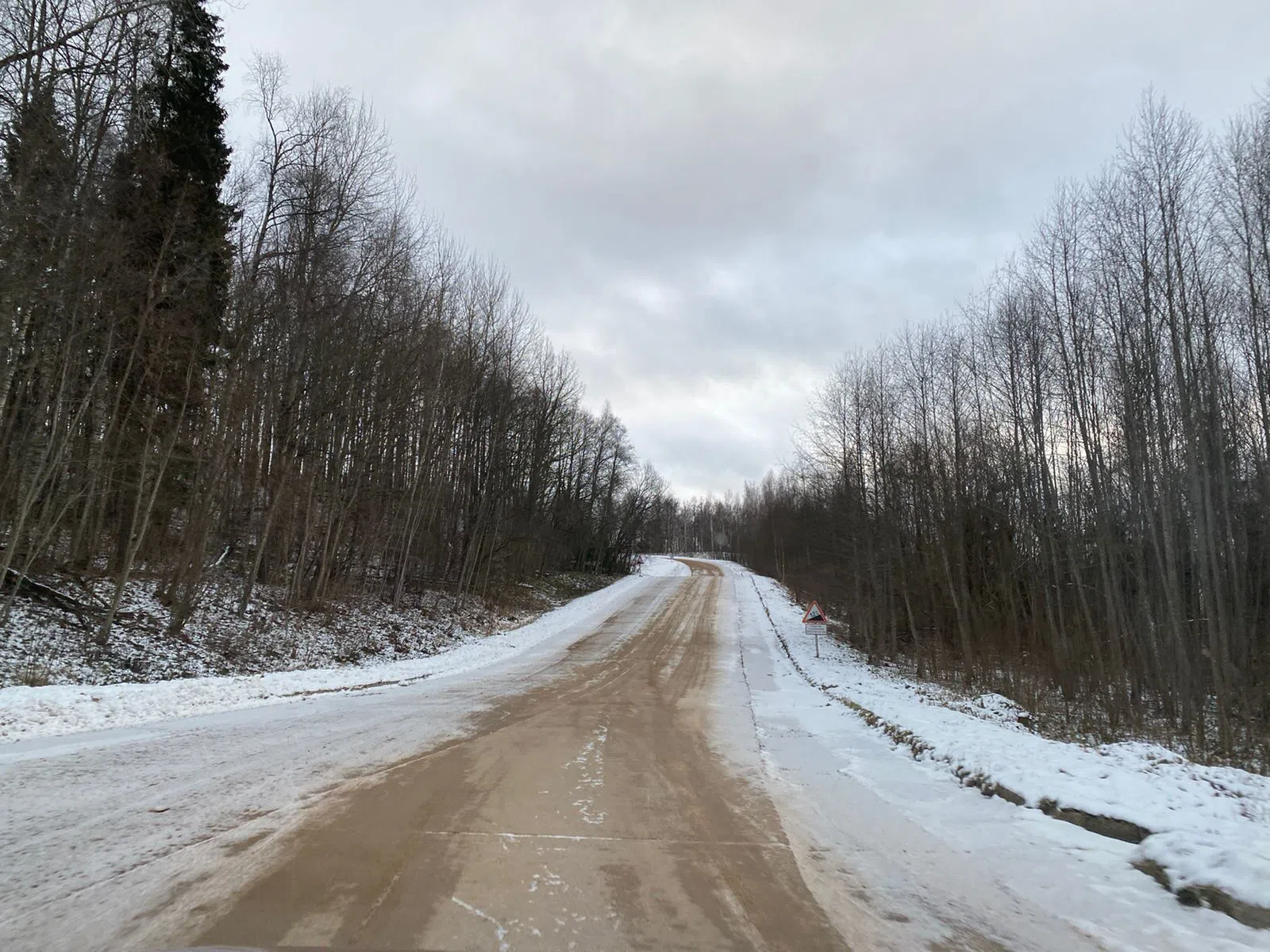 Дороги в лесу, фото 5