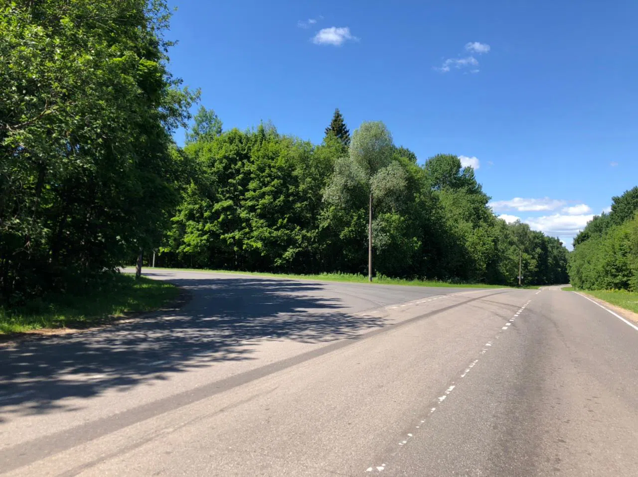 Дороги в лесу, фото 2