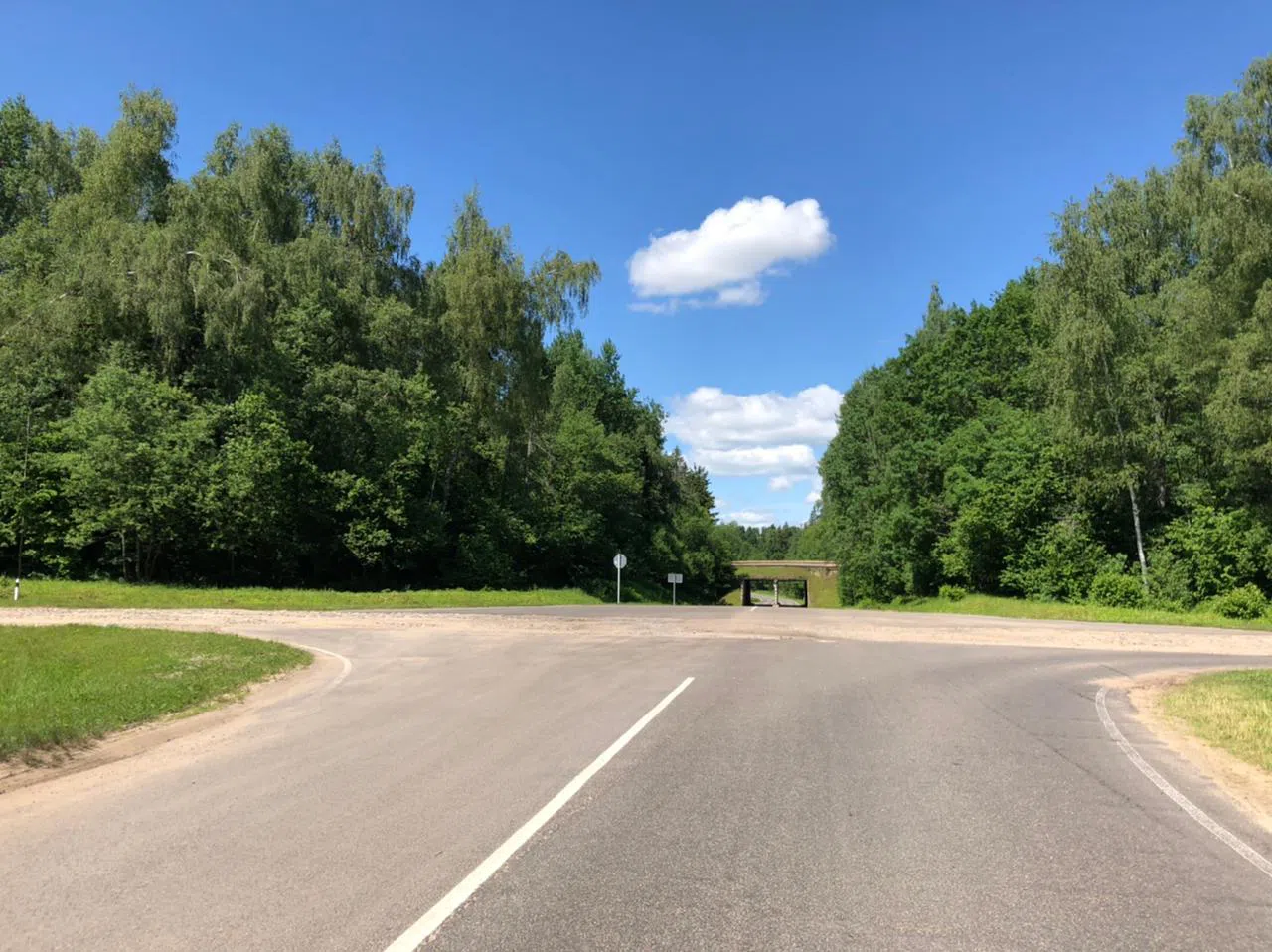 Дороги в лесу, фото 9