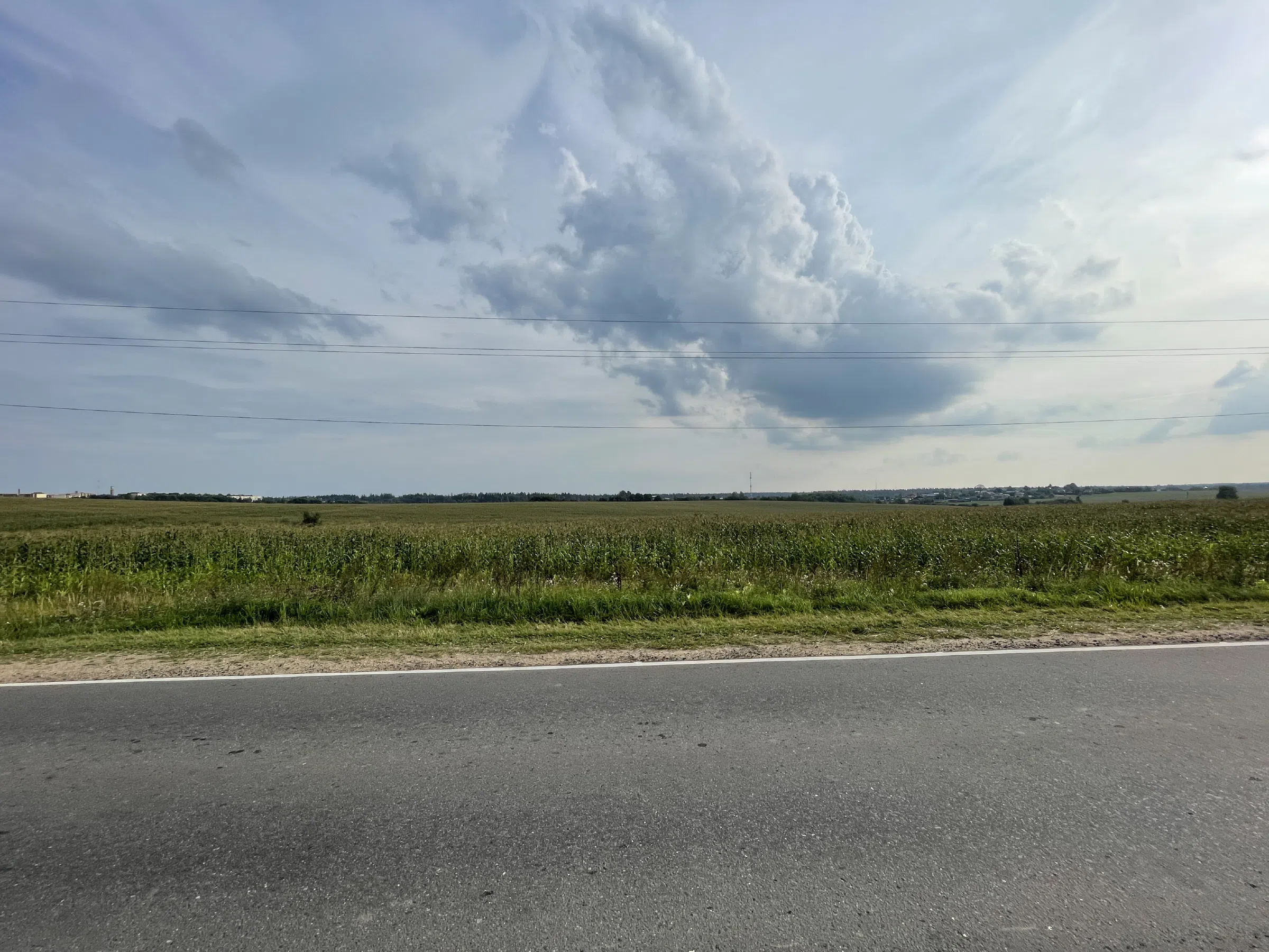 Дорога через поля, фото 3