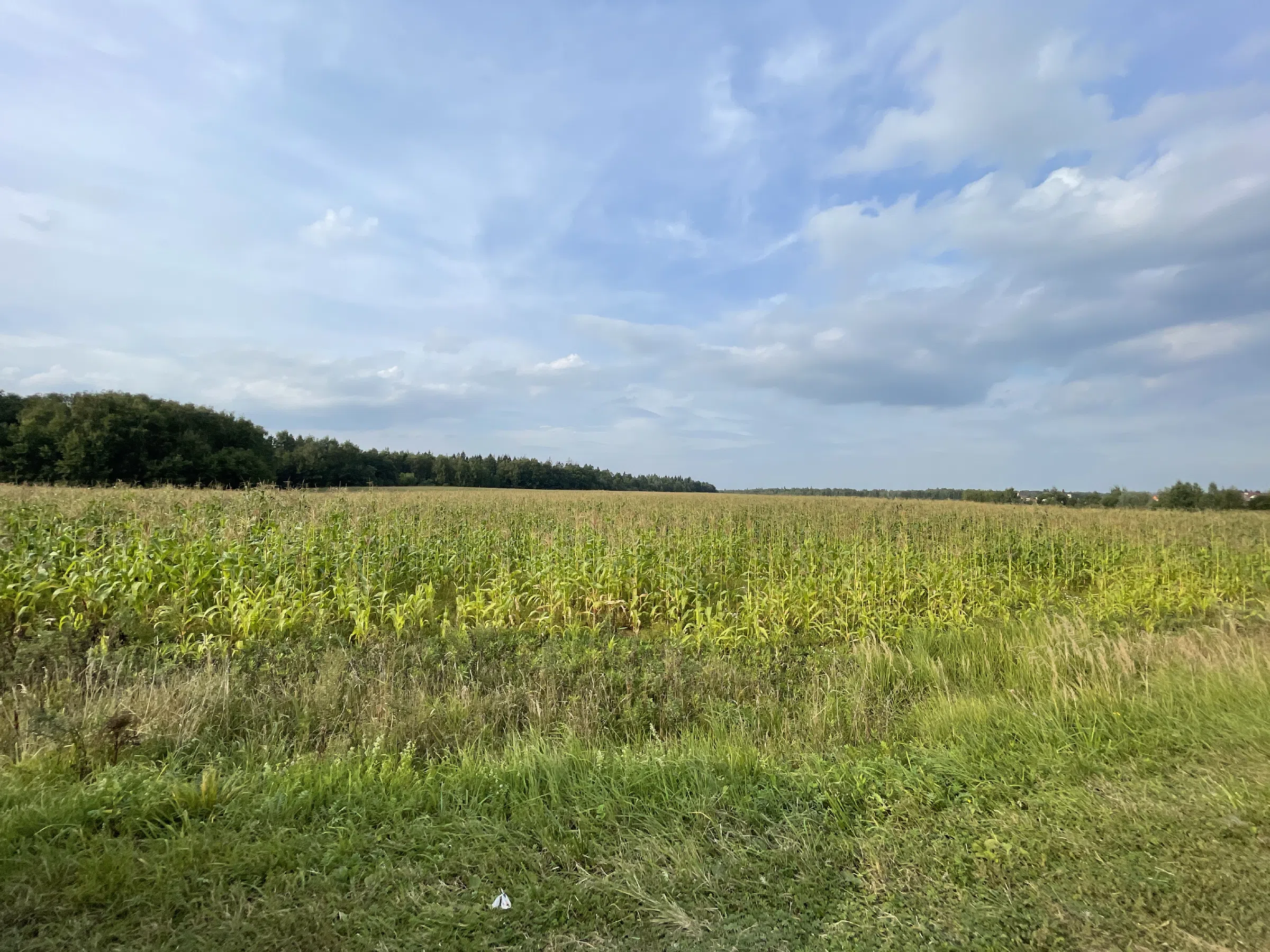 Дорога через поля, фото 6