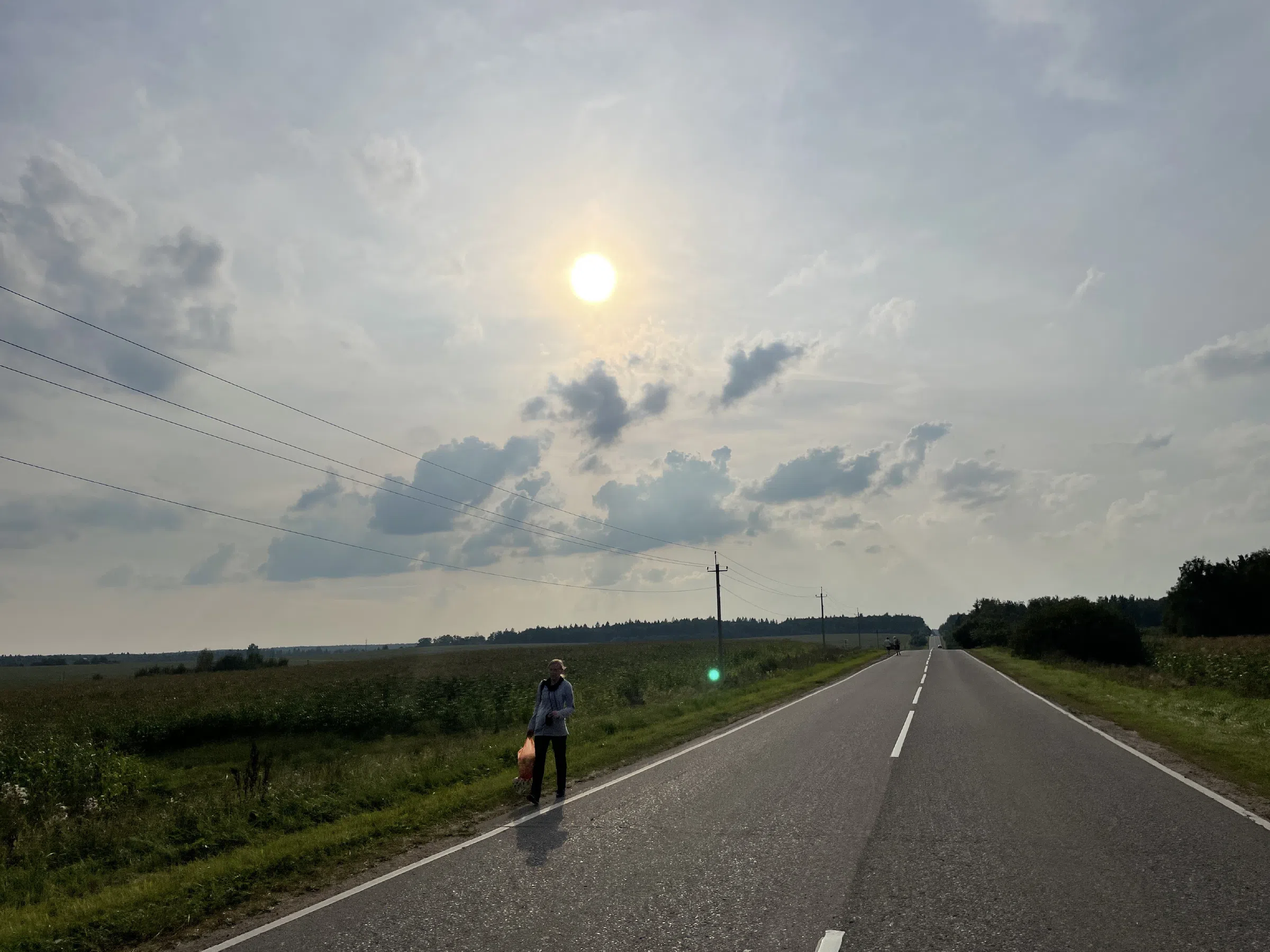Дорога через поля, фото 8