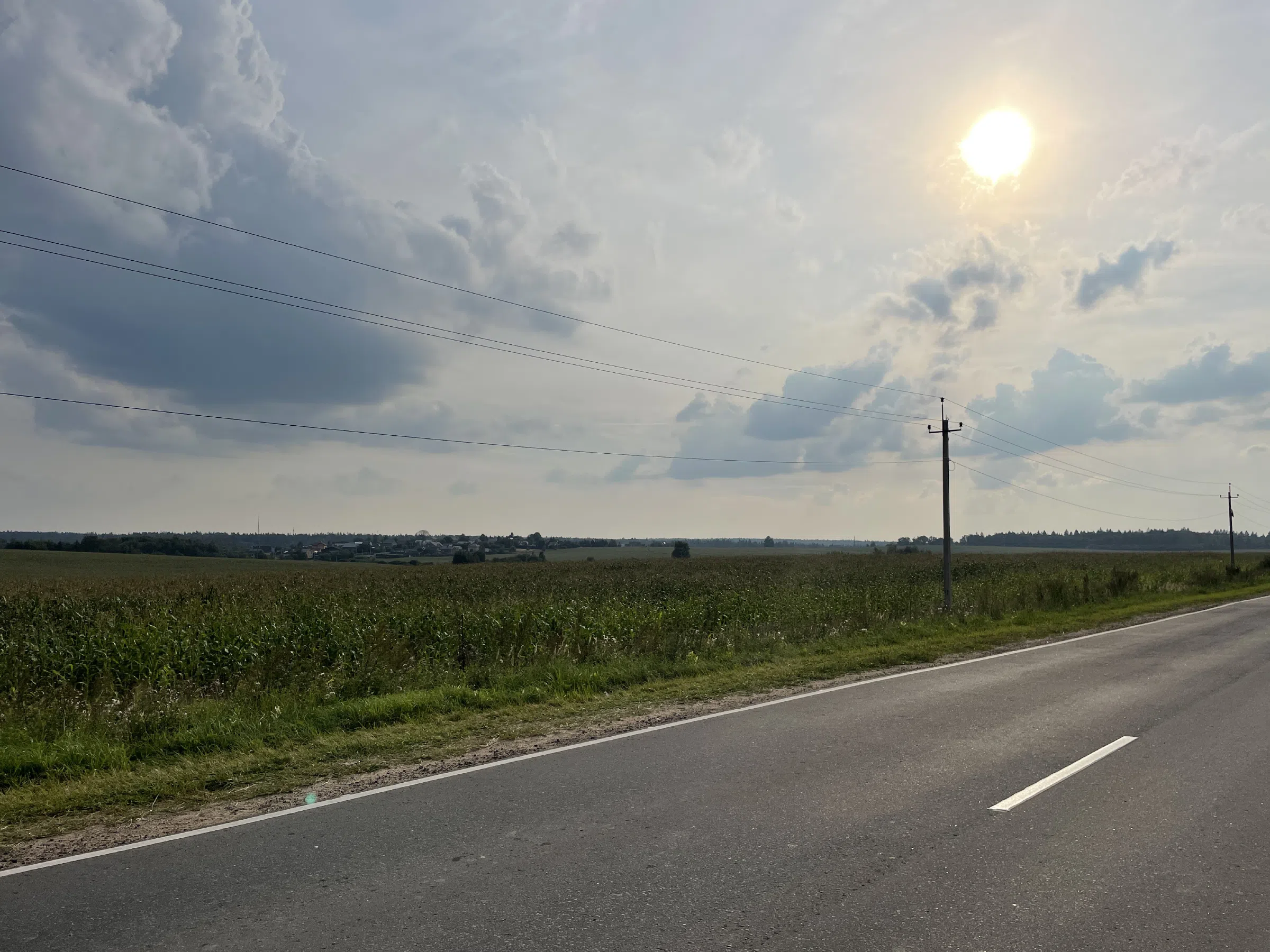 Дорога через поля, фото 2
