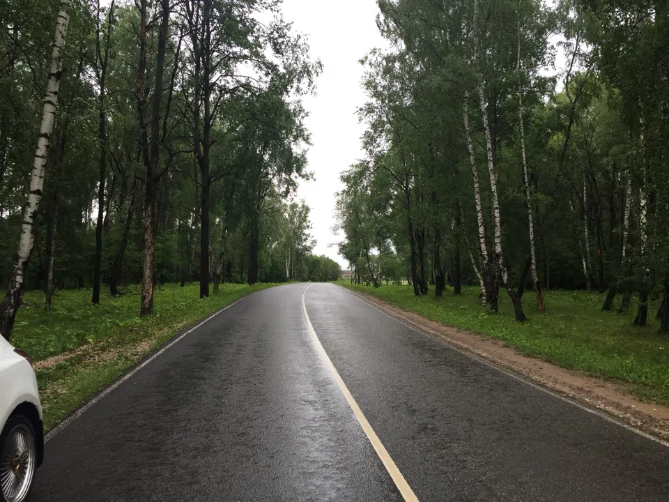 Дорога через лес и поле, фото 1
