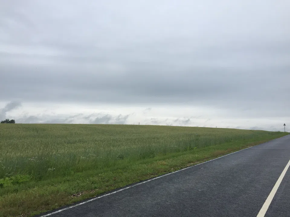 Дорога через лес и поле, фото 11