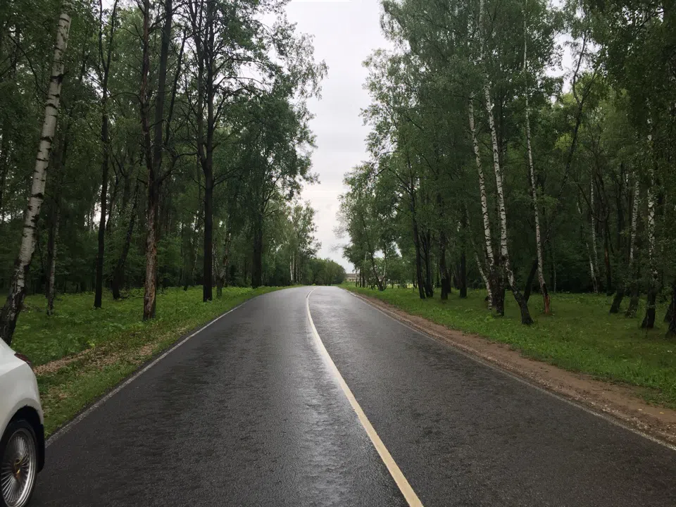 Дорога через лес и поле, фото 6