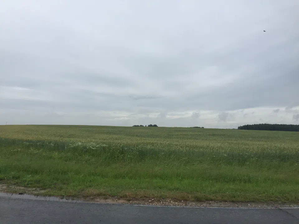 Дорога через лес и поле, фото 17