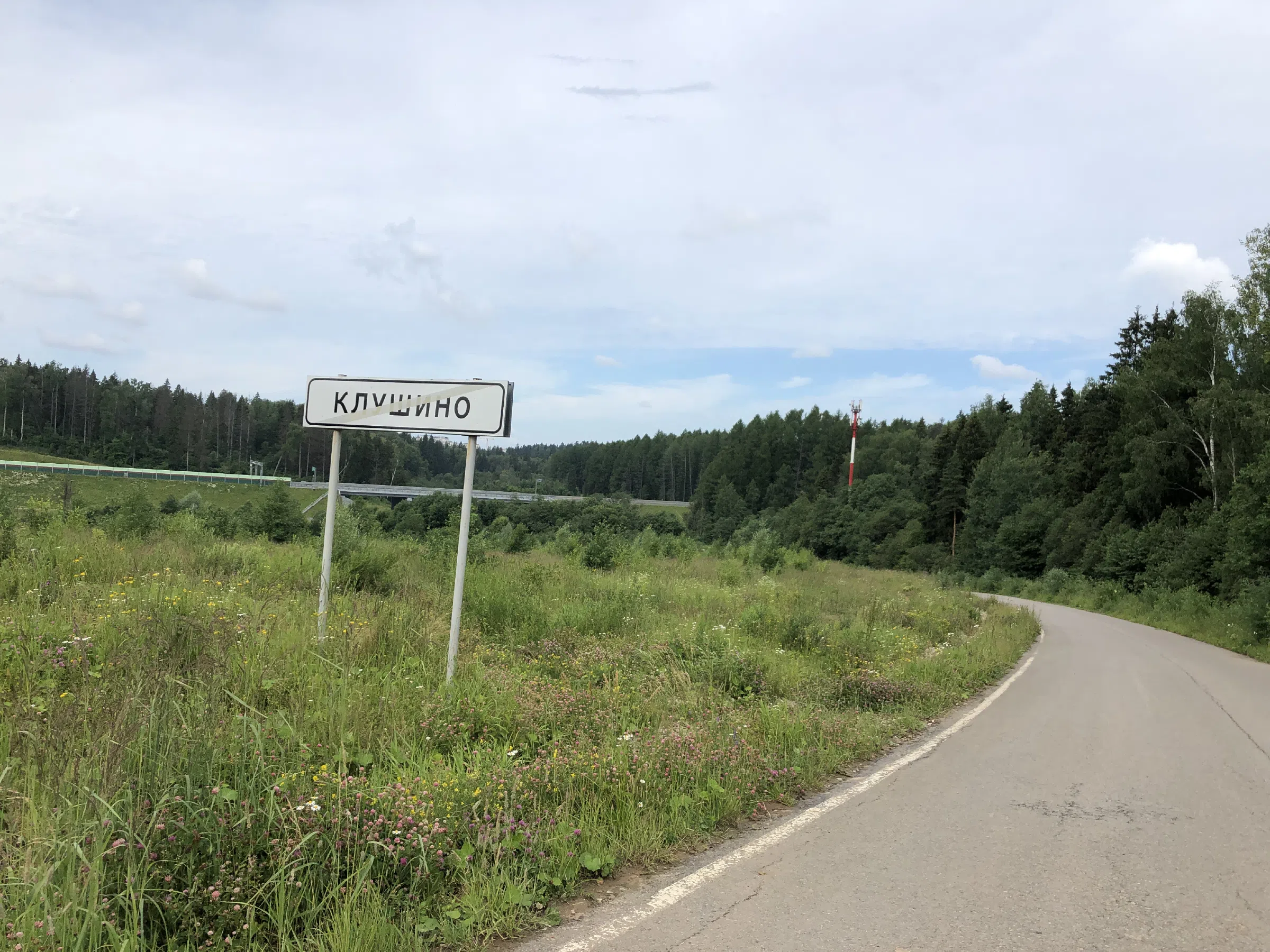 Лес у моста и реки, фото 1