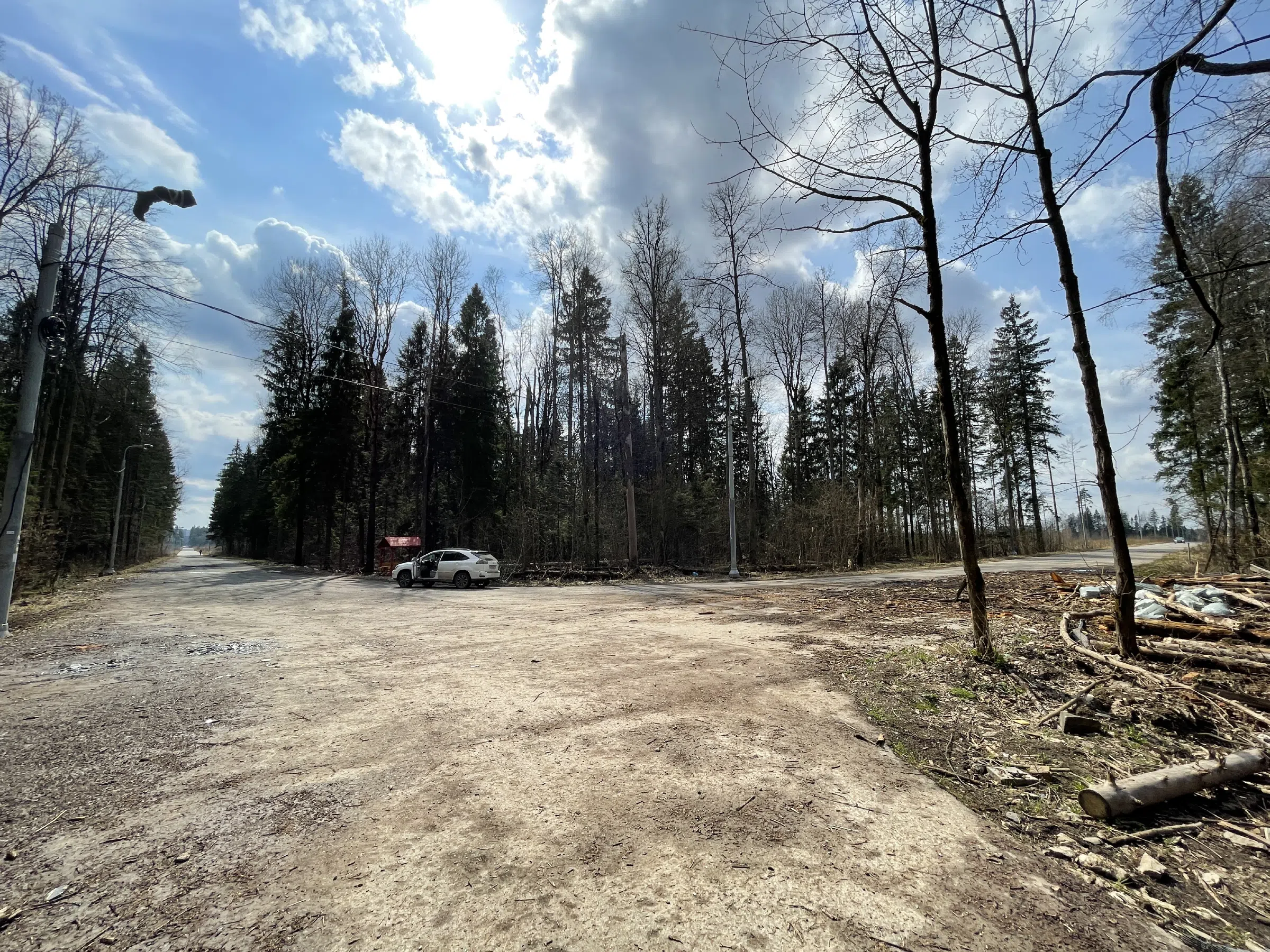Лесная дорога с елями, фото 23