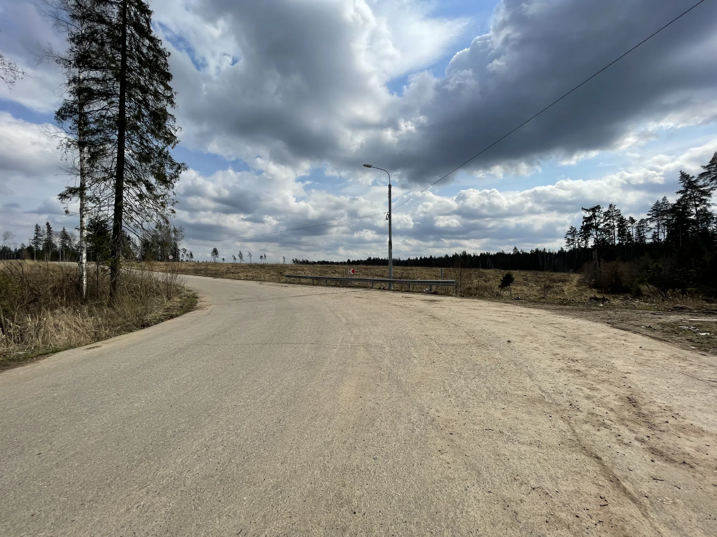 Лесная дорога с елями, фото 8