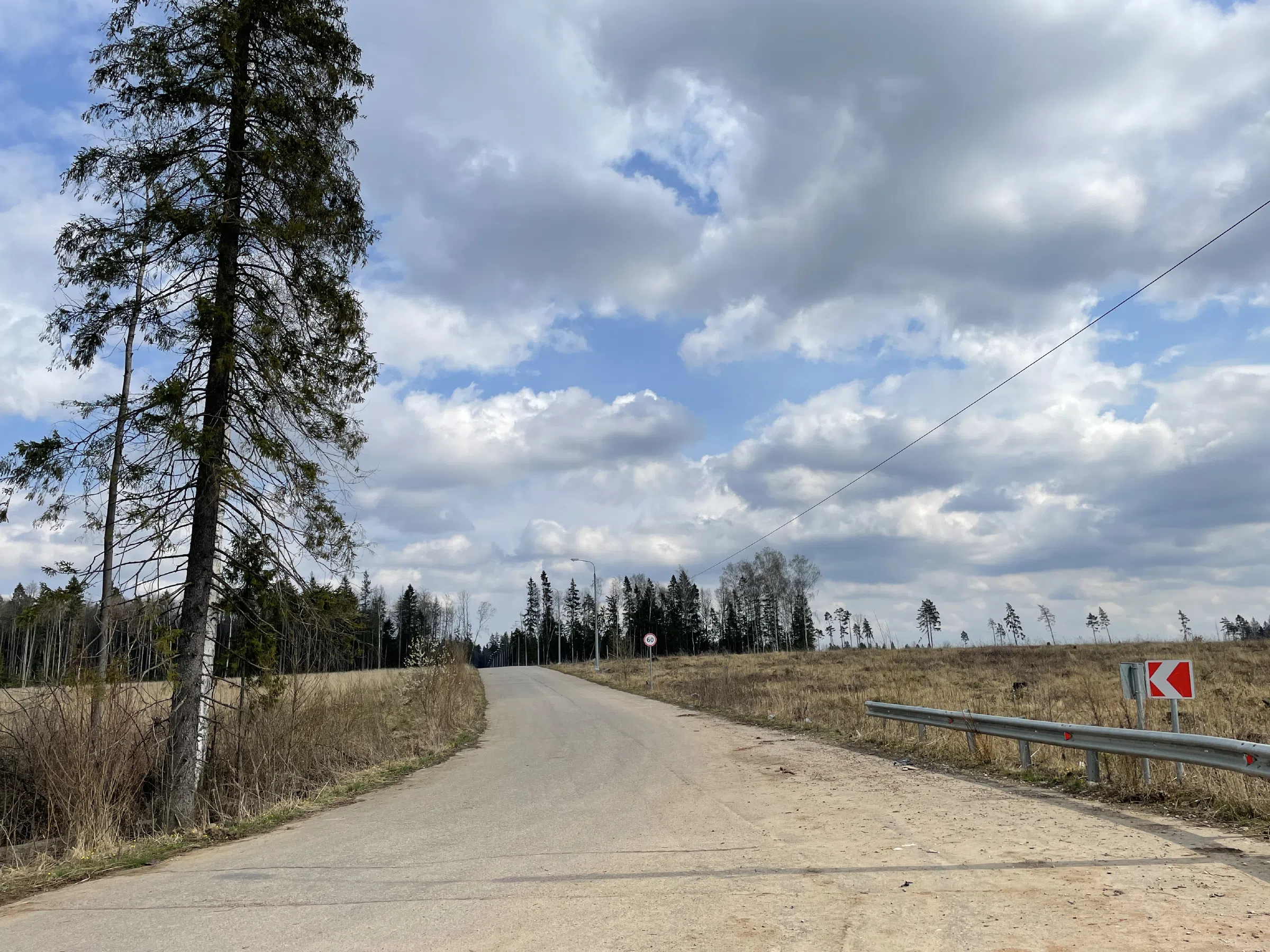 Лесная дорога с елями, фото 11