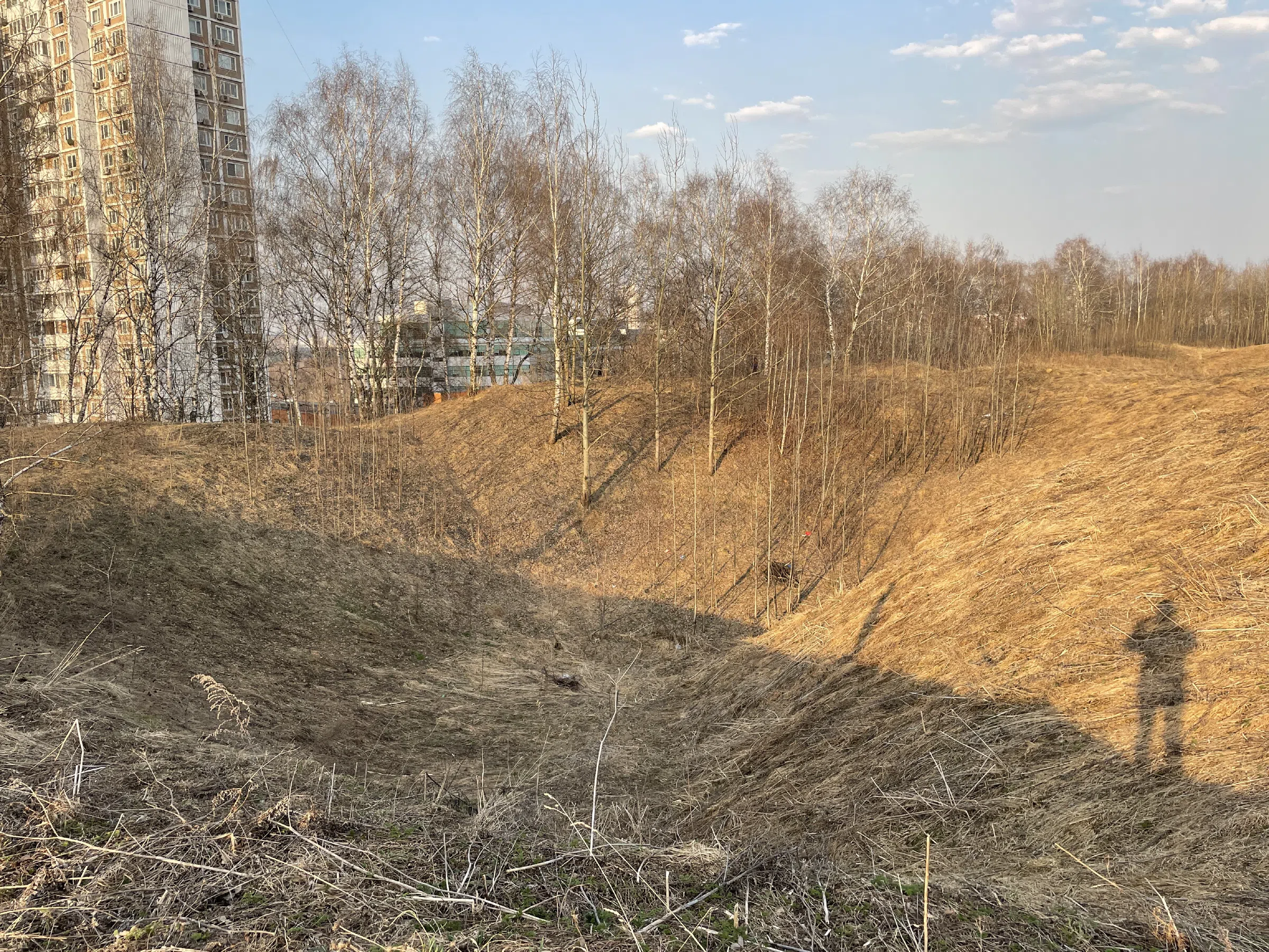 Парковая велотрасса, фото 16