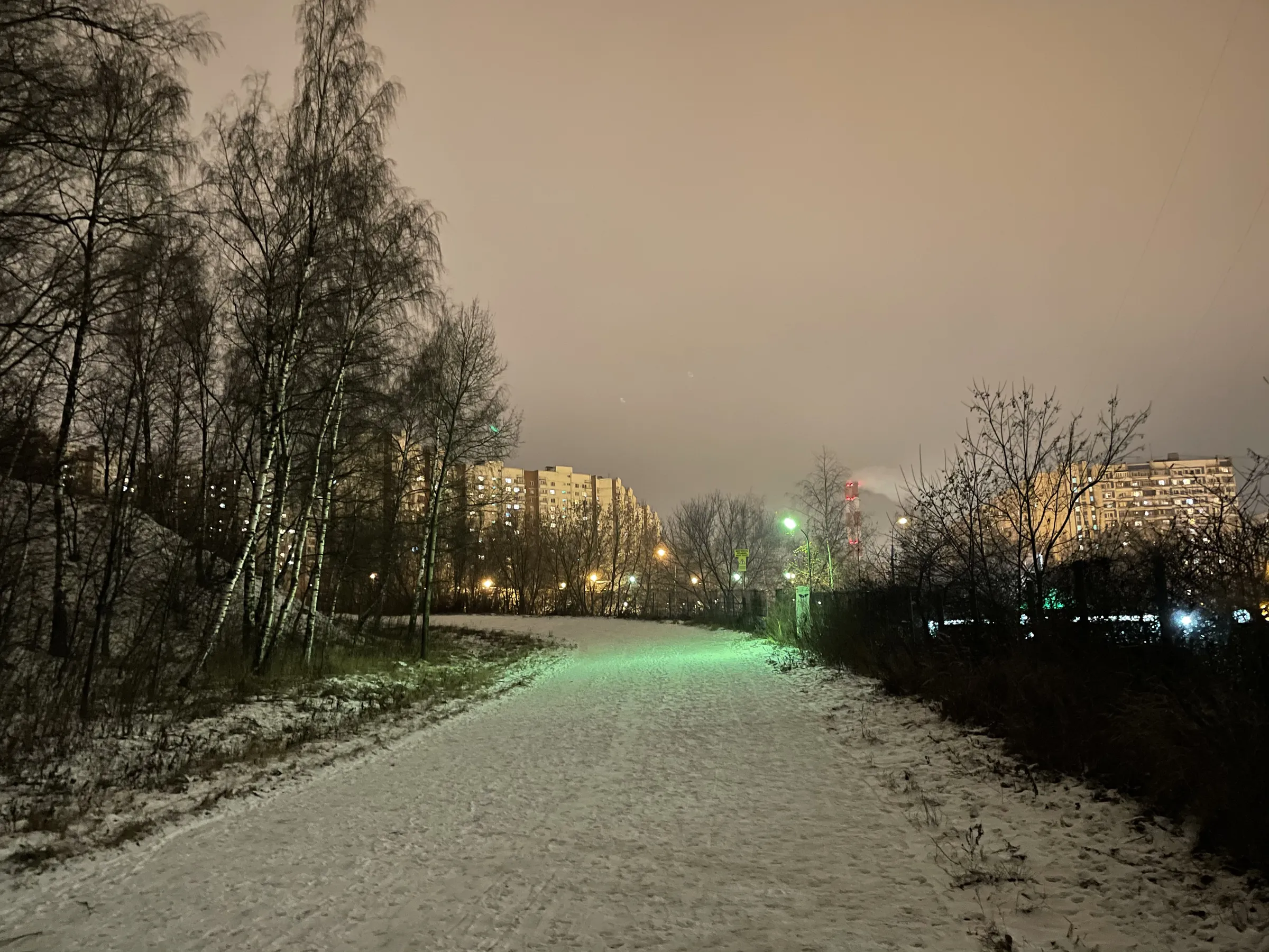 Зимняя дорога в парке, фото 11